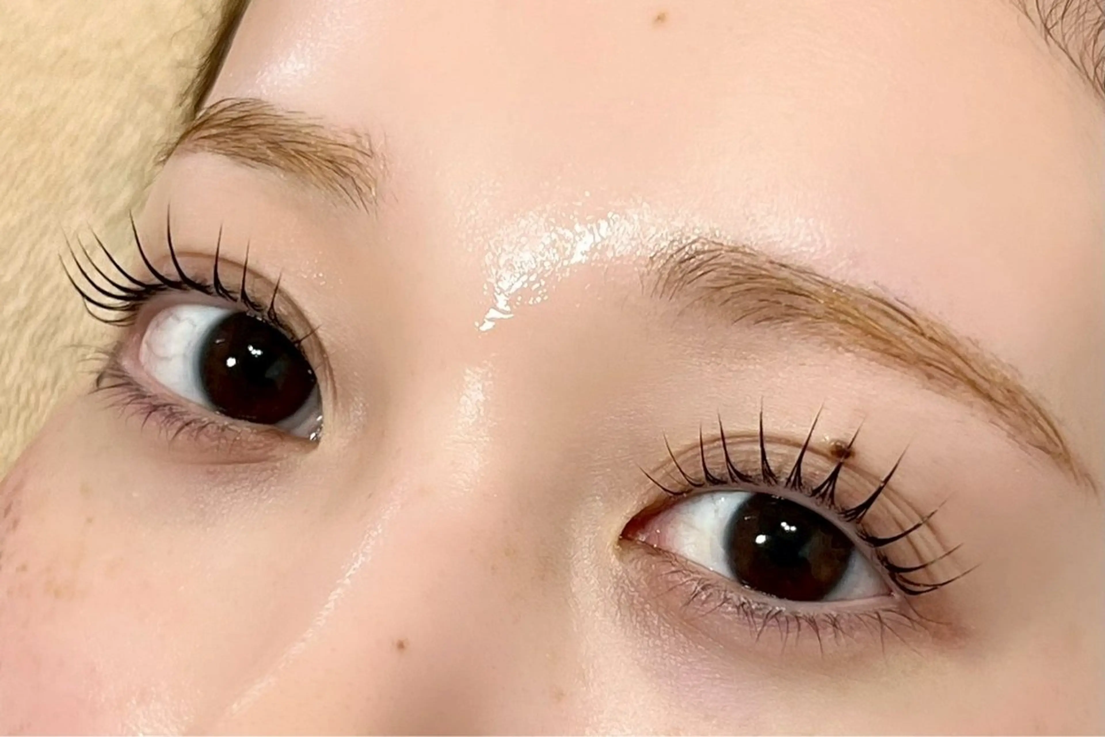 4/1、限定！まつげパーマモデル👀✨️アイシャンプー付きの写真