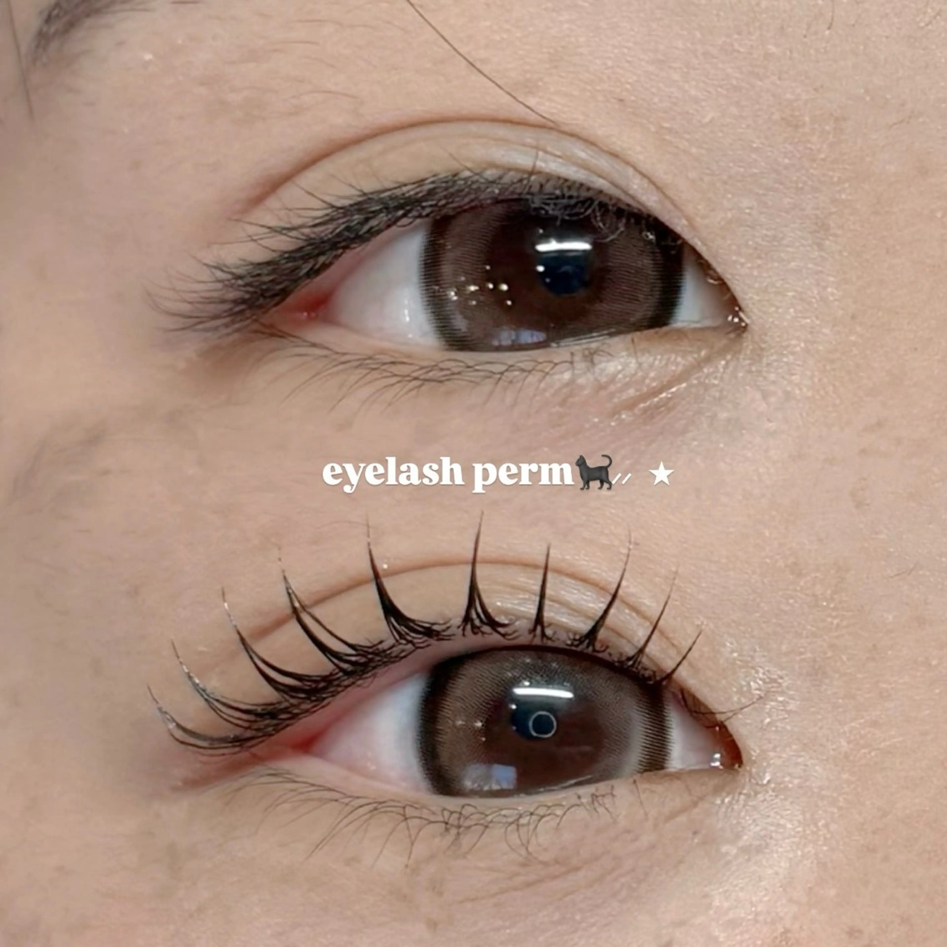 【2回目の方】まつ毛パーマ☘️✨(女性限定)の写真