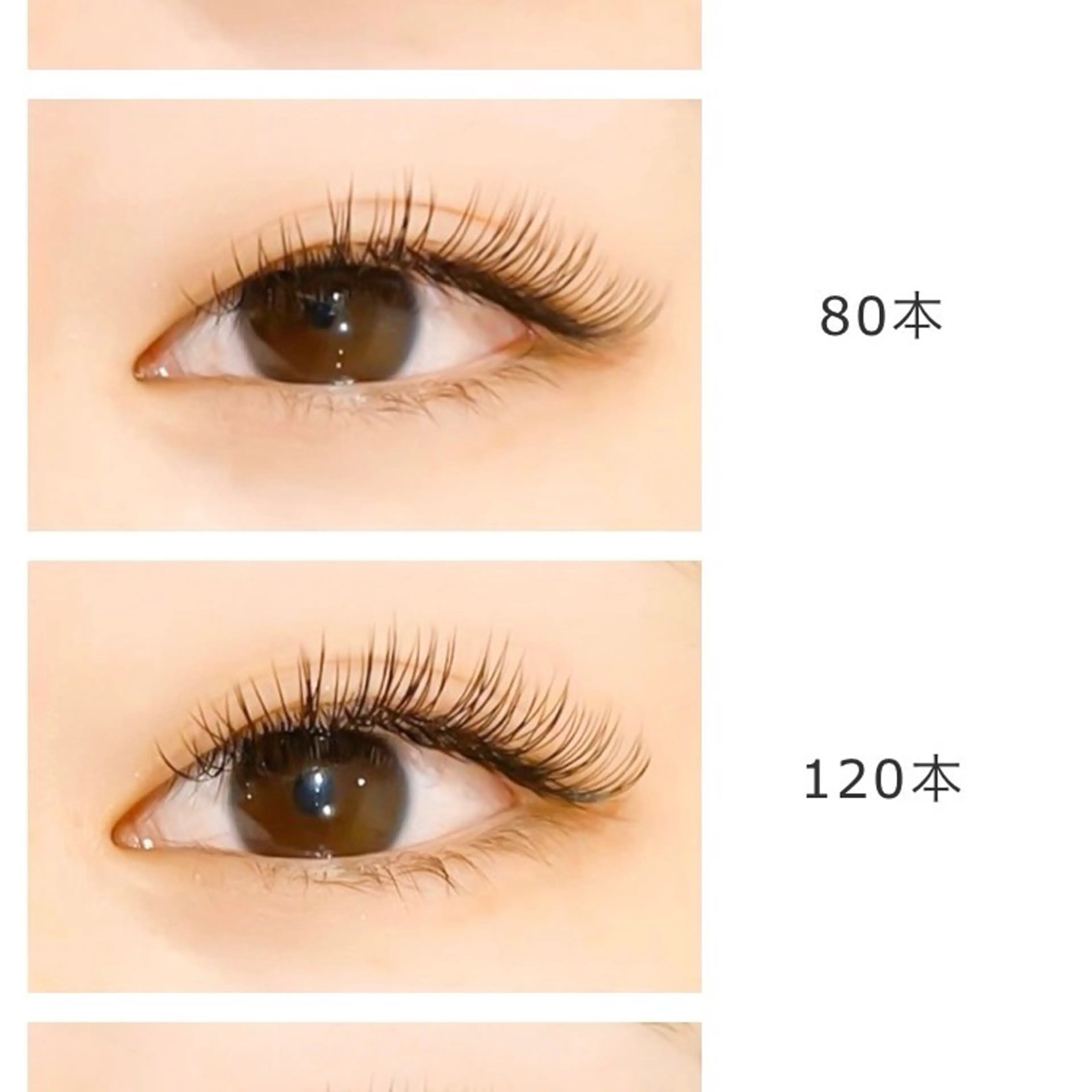 まつエクパーフェクトラッシュ80束👀✨（プラス1,100円でLEDにご変更可能🙆‍♀️）の写真