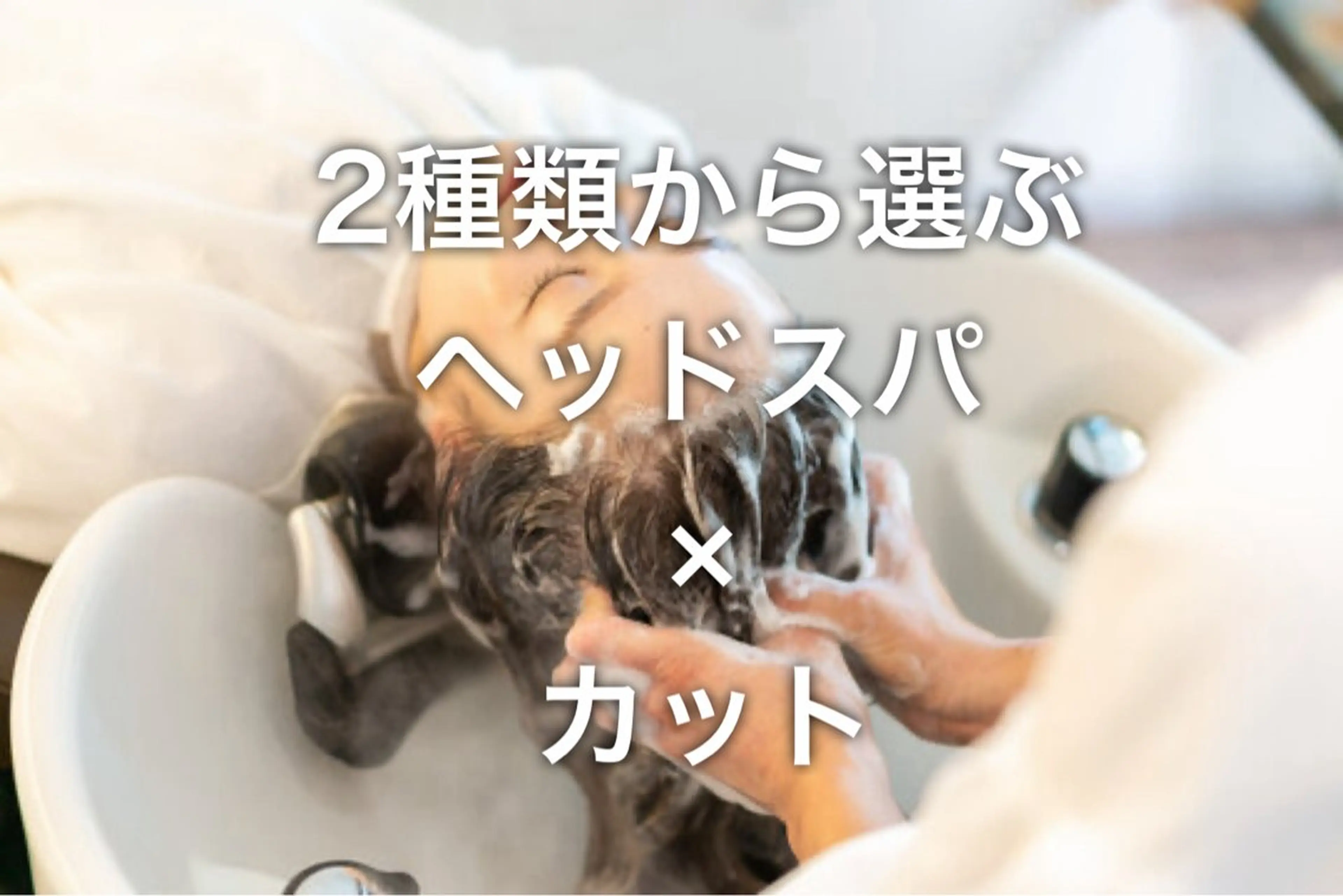 〘 スパメニュー 〙定価より20%OFF✨カット&選べるヘッドスパ1種(シャンプー・ブロー込み)の写真