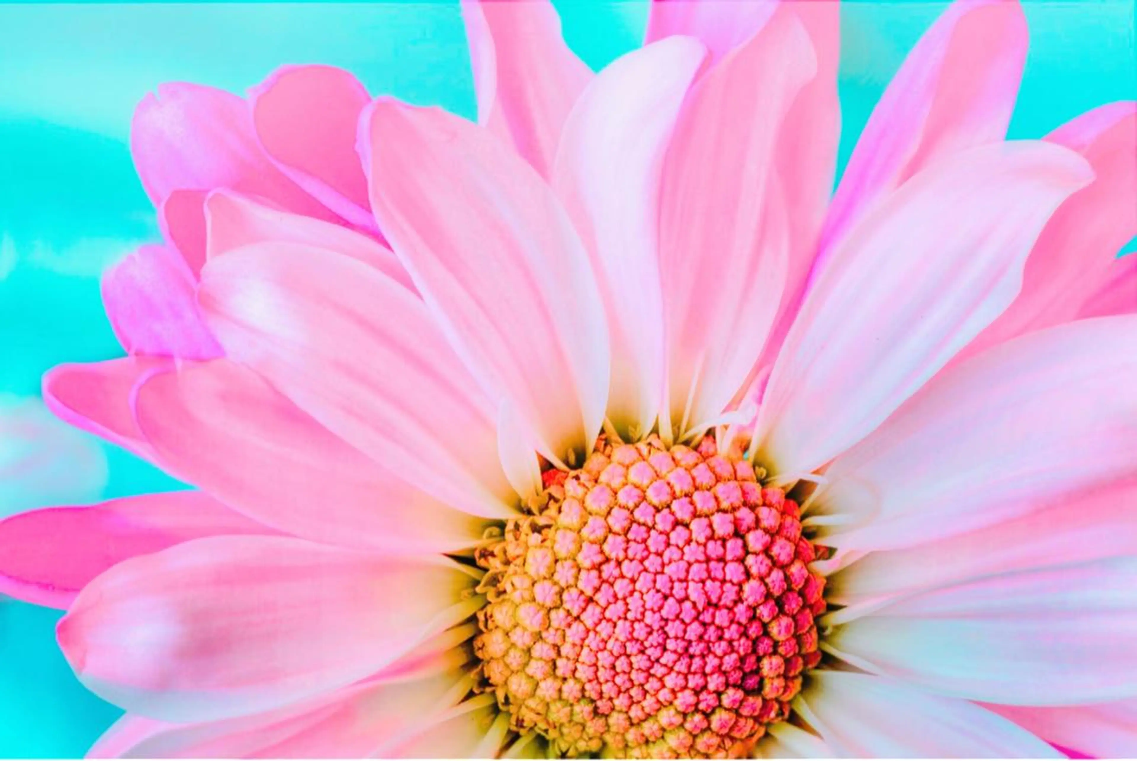 リトリートサロン RUKKA(ルッカ)のエステ・リラクイメージ