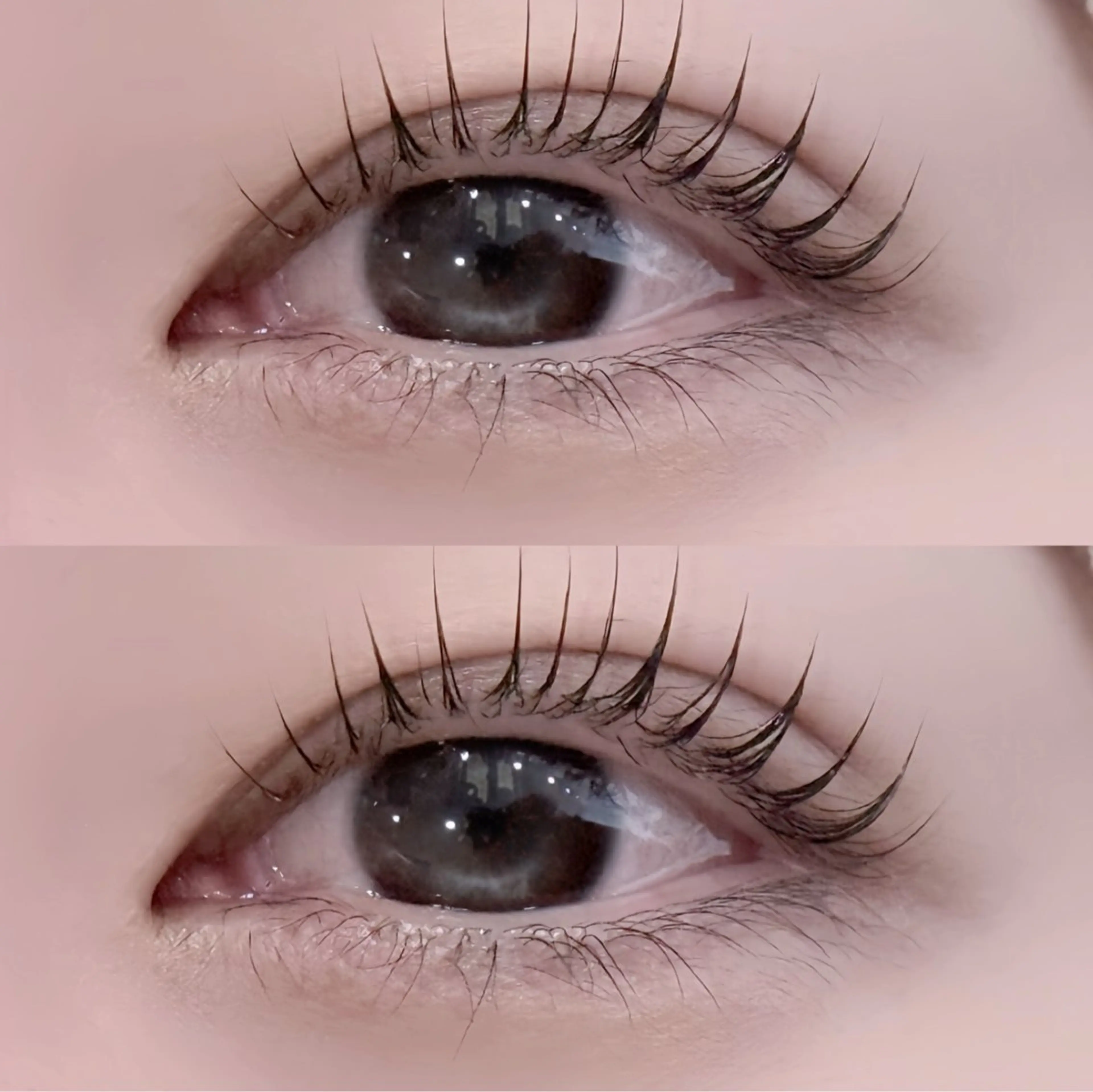 ご新規様限定 [学割U24]🐈‍⬛パリジェンヌラッシュリフト🖤￥3990の写真