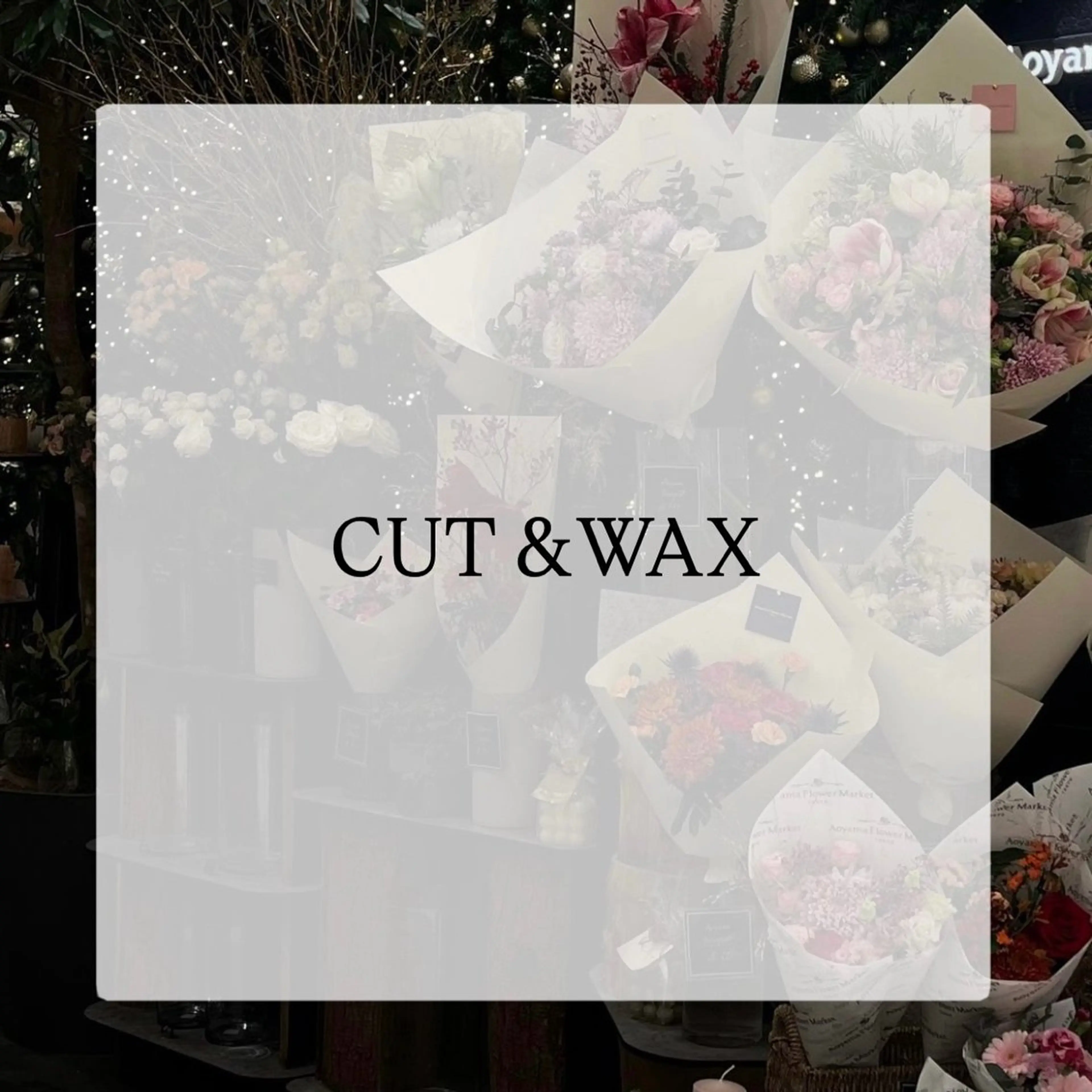 眉カット+眉WAX¥4400→¥2200の写真