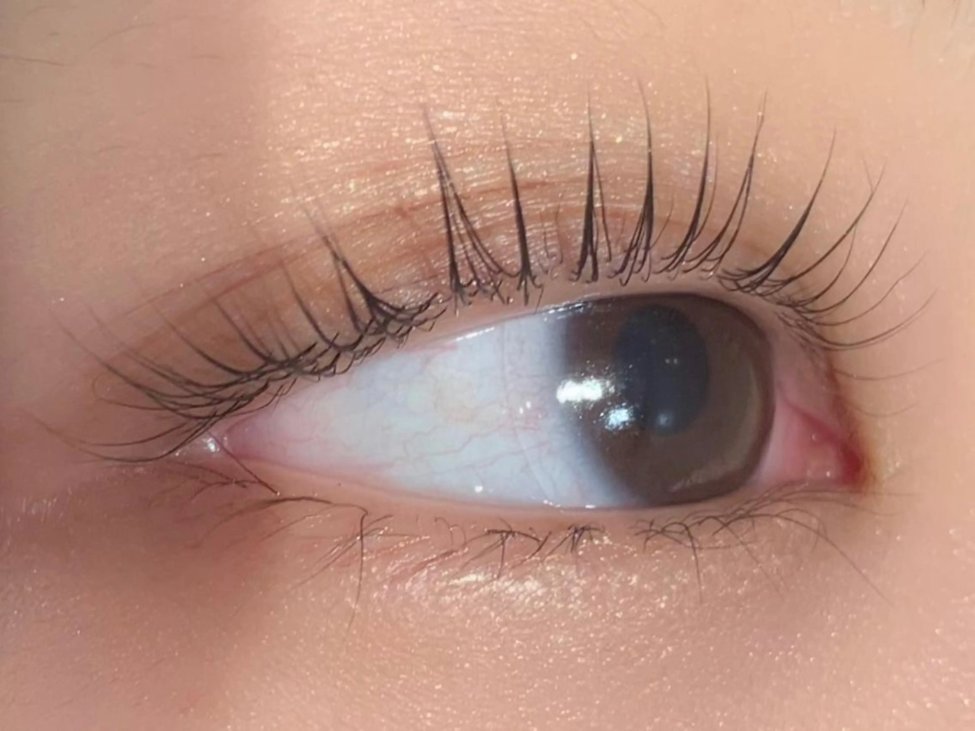 マツエク・マツパ 一重×まつ毛パーマ 銀座/LEDマツエク 高宮のマツエク・マツパデザイン