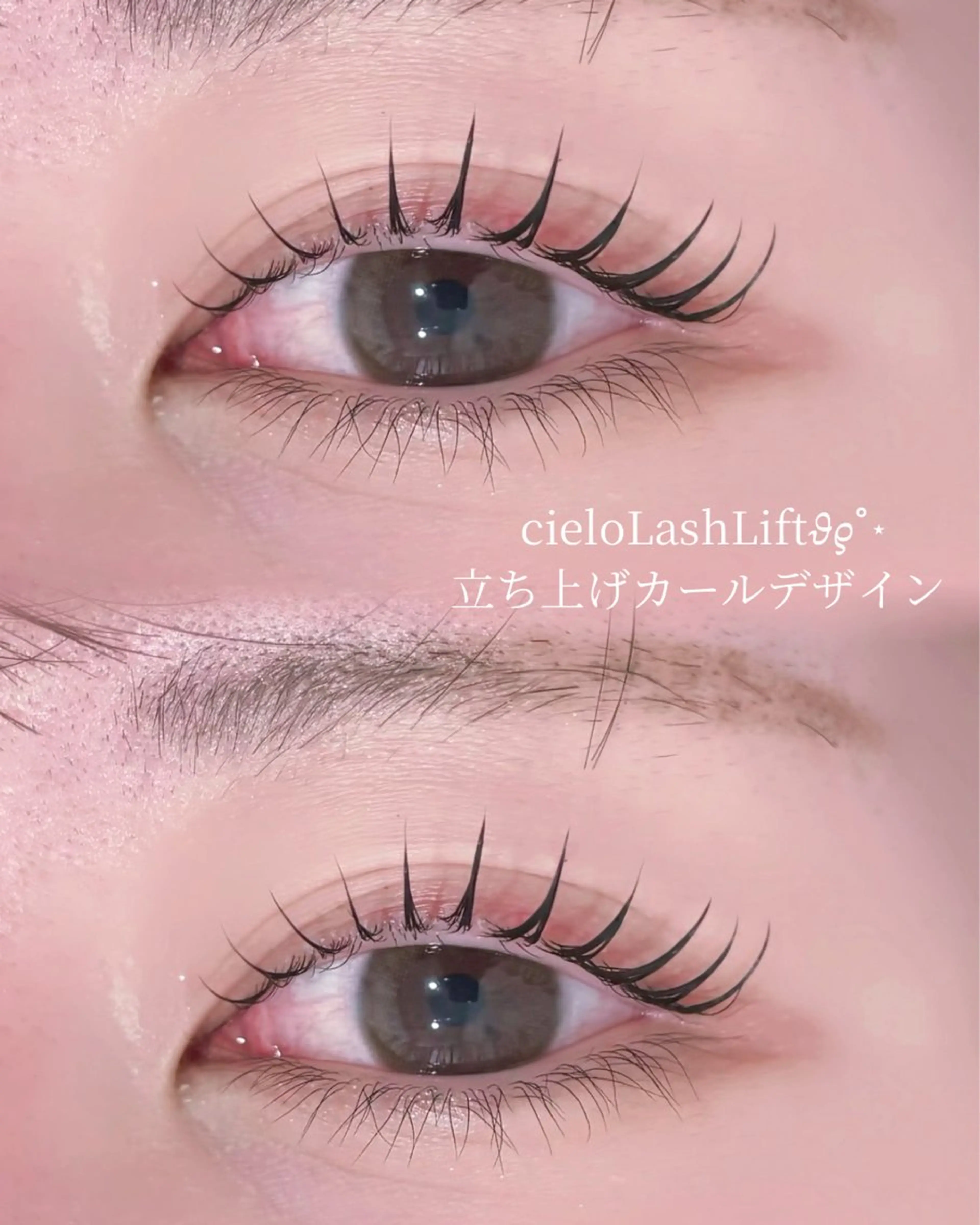 ✦.*まつ毛パーマ(上)+アイブロウ(WAX+メイク+毛抜き)✦.*※間引き(¥1000)追加可能です✨️の写真