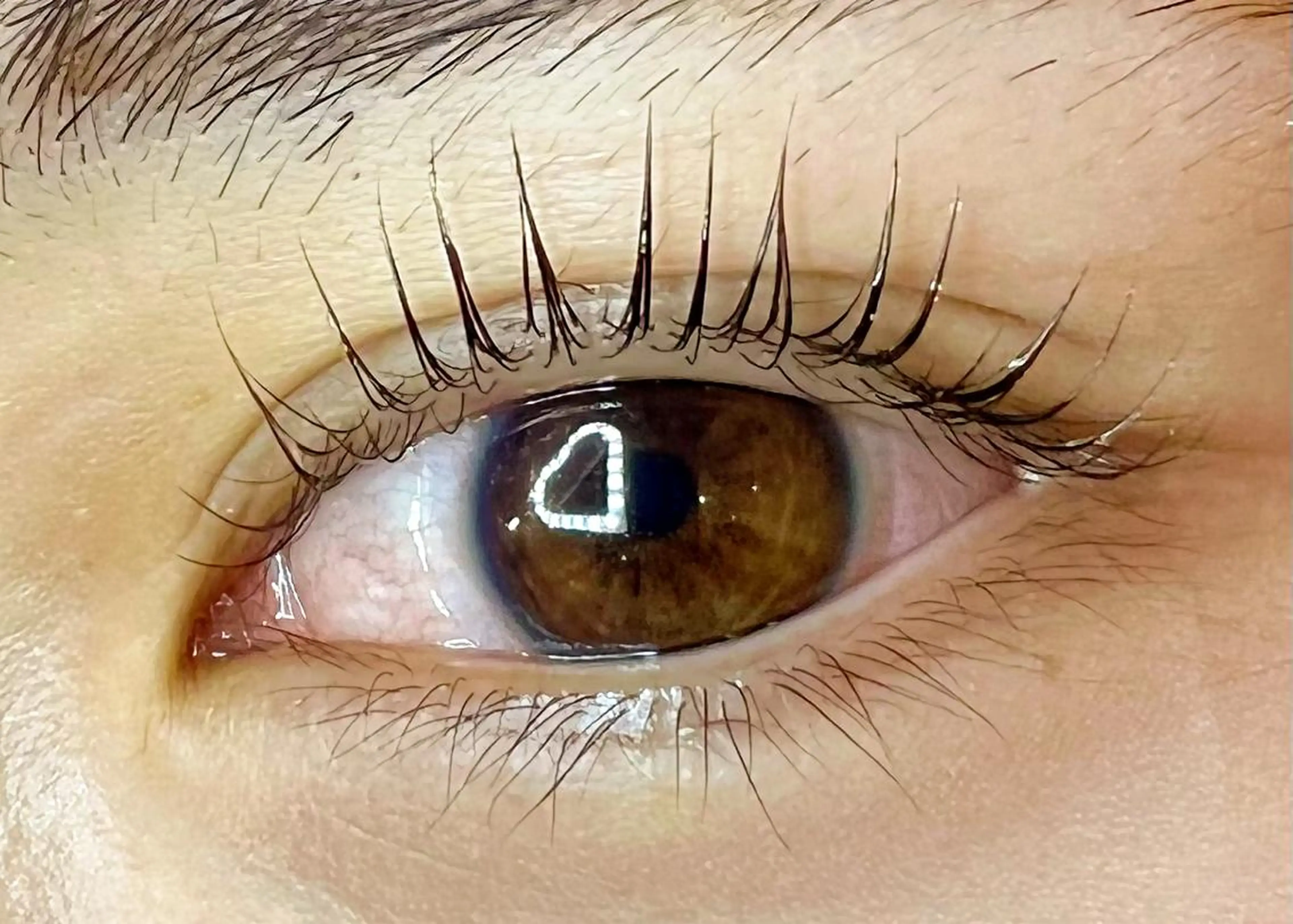 マツエク・マツパ Celeste Venus所属・🧸Celeste Venusのマツエク・マツパデザイン