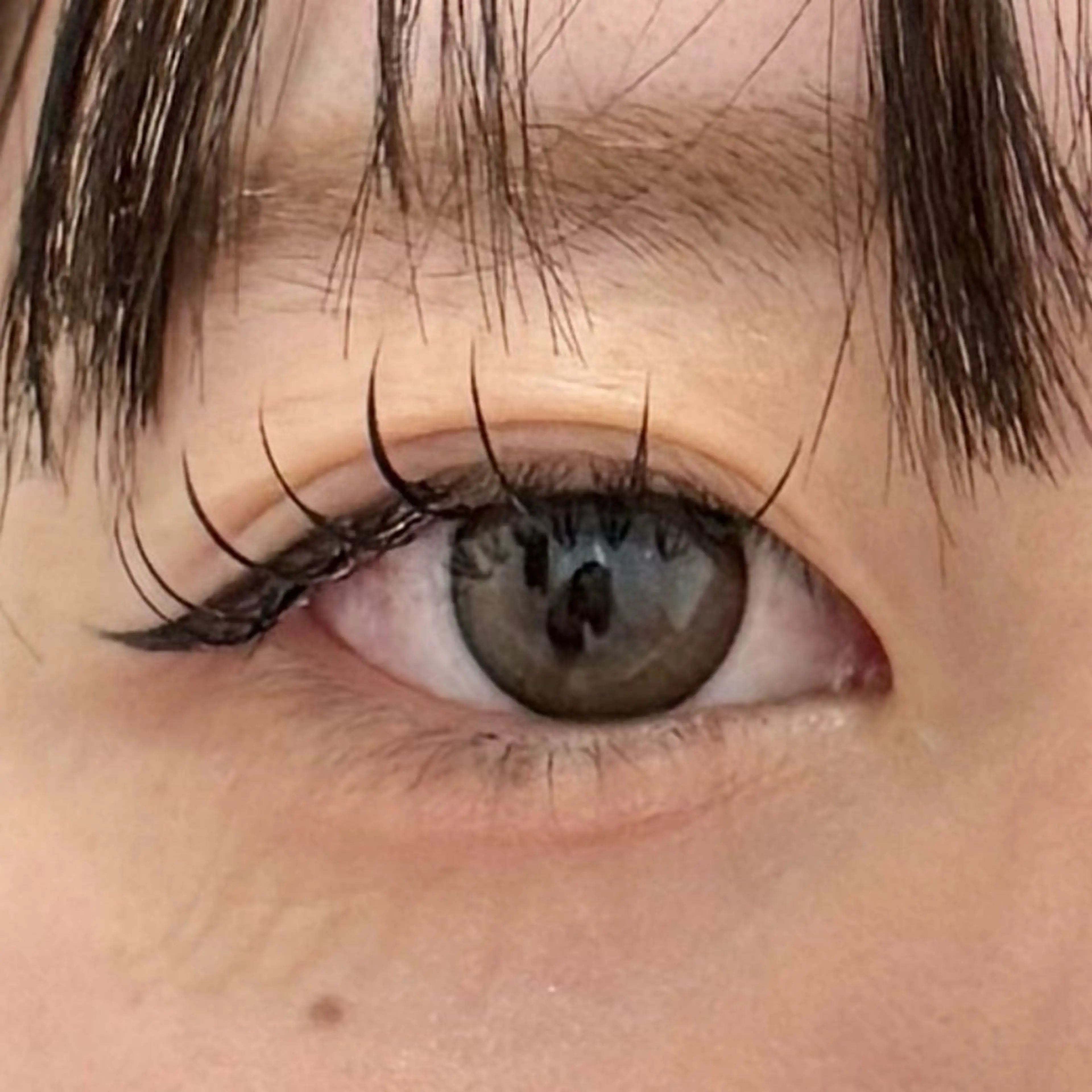 【2月限定】まつ毛エクステ 100本の写真