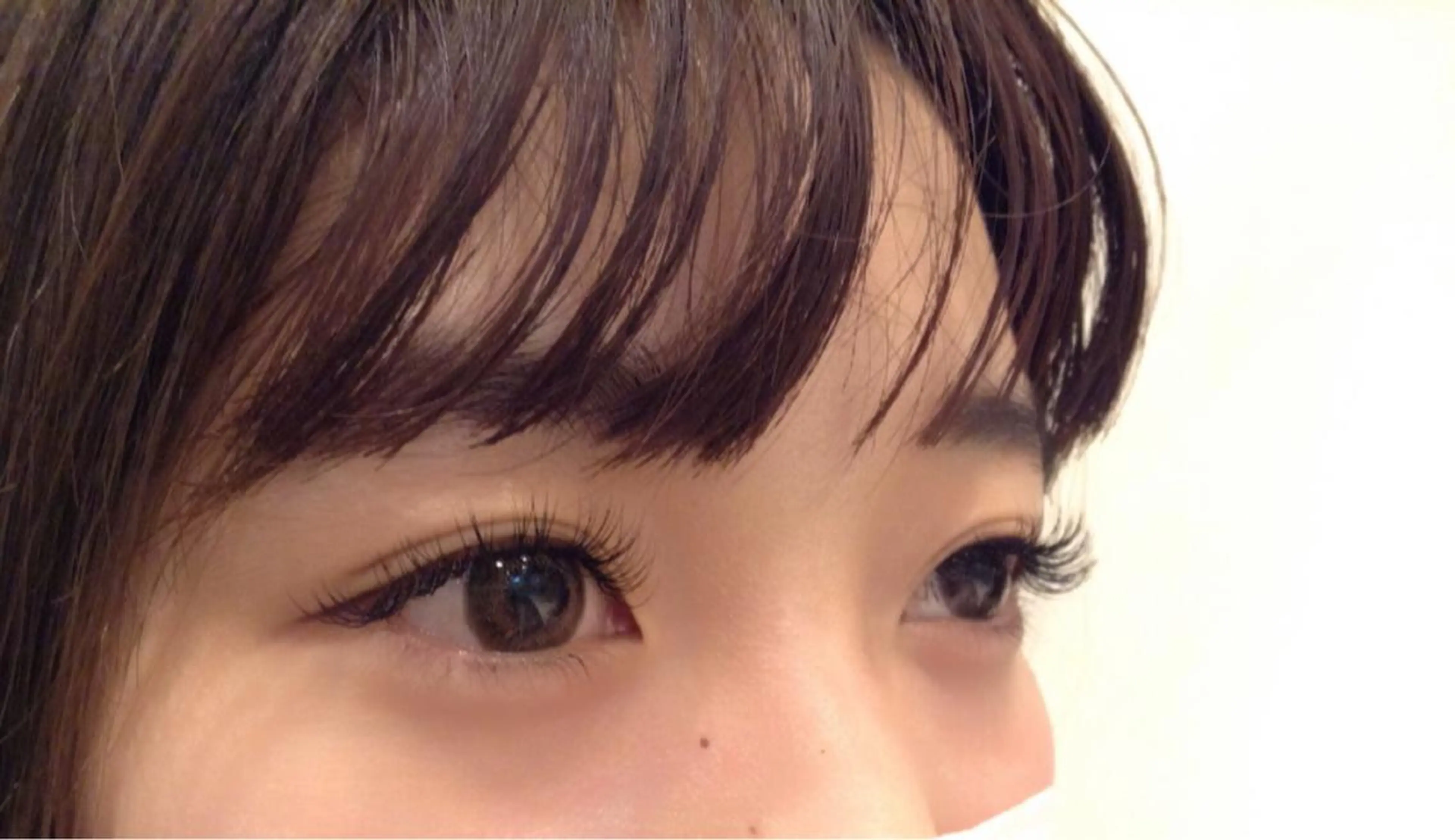 マツエク・マツパ Dカール セーブル セクシー m+eyelash 🩵南森町駅1分🚉のマツエク・マツパデザイン
