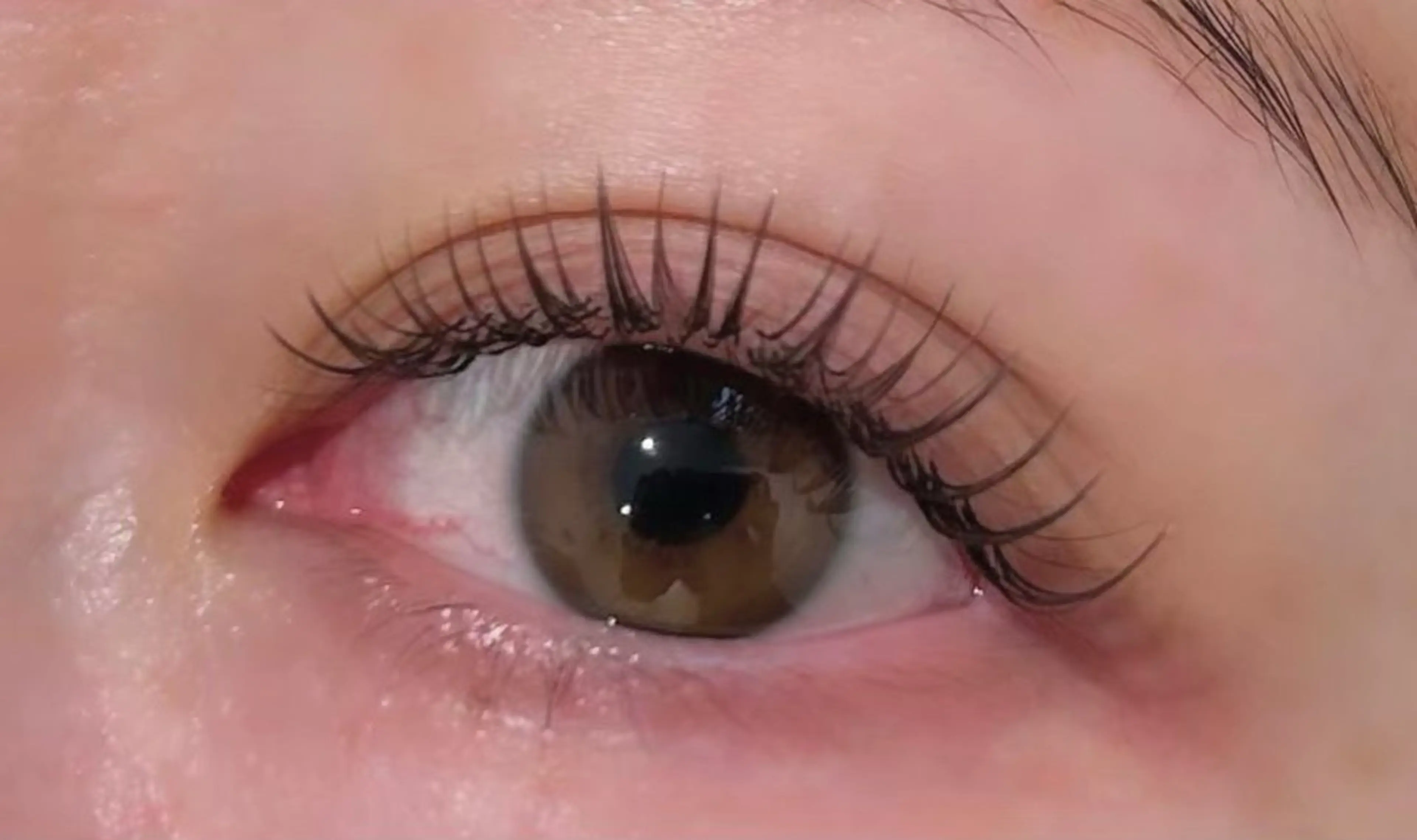 🫧レッスンモデル　LEDマツエク100本🫧の写真