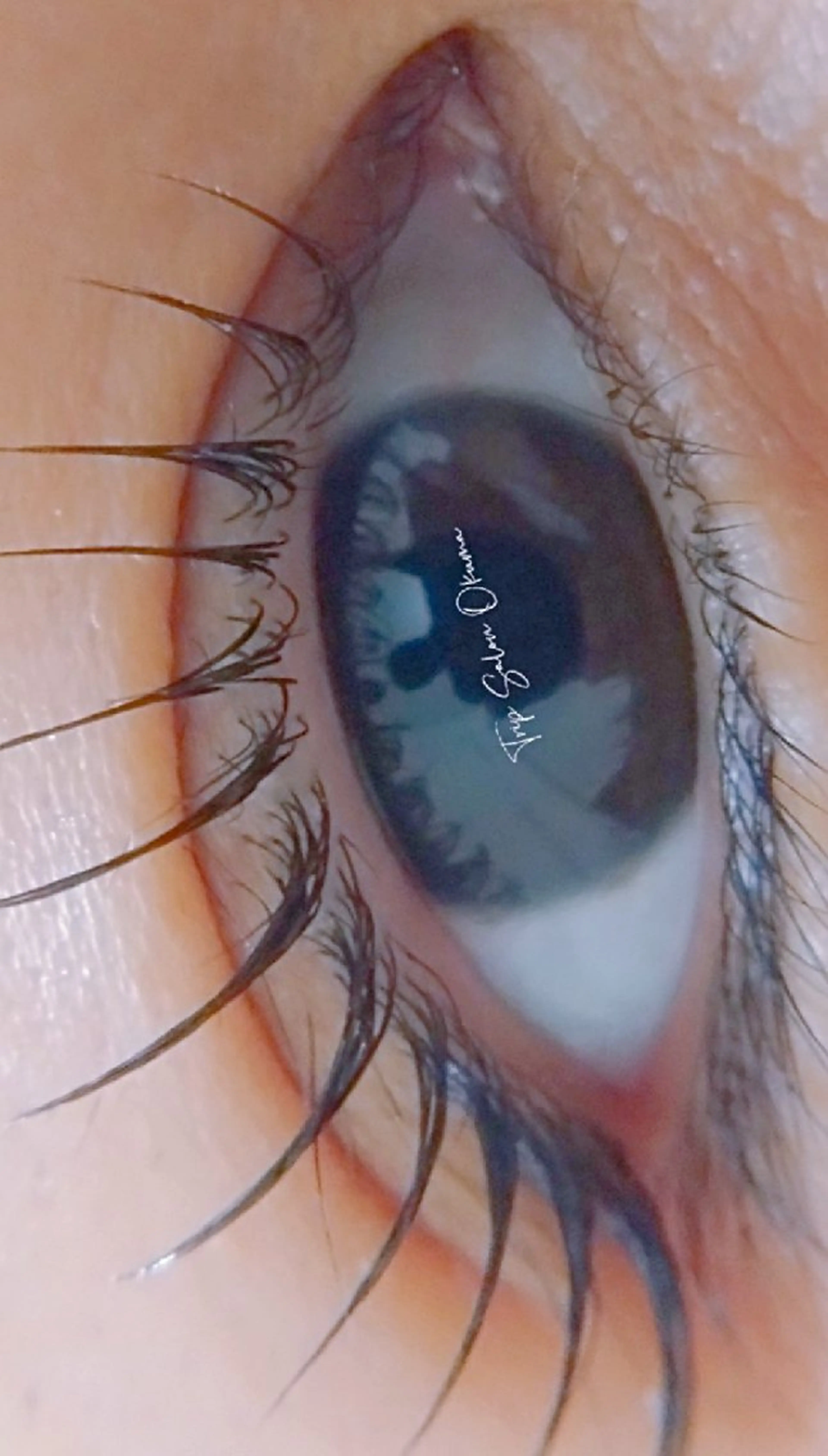 【通常価格】上まつ毛パーマ💛2回目以降のご予約はインスタ or 公式ラインよりご連絡ください🥰24時間連絡OKの写真