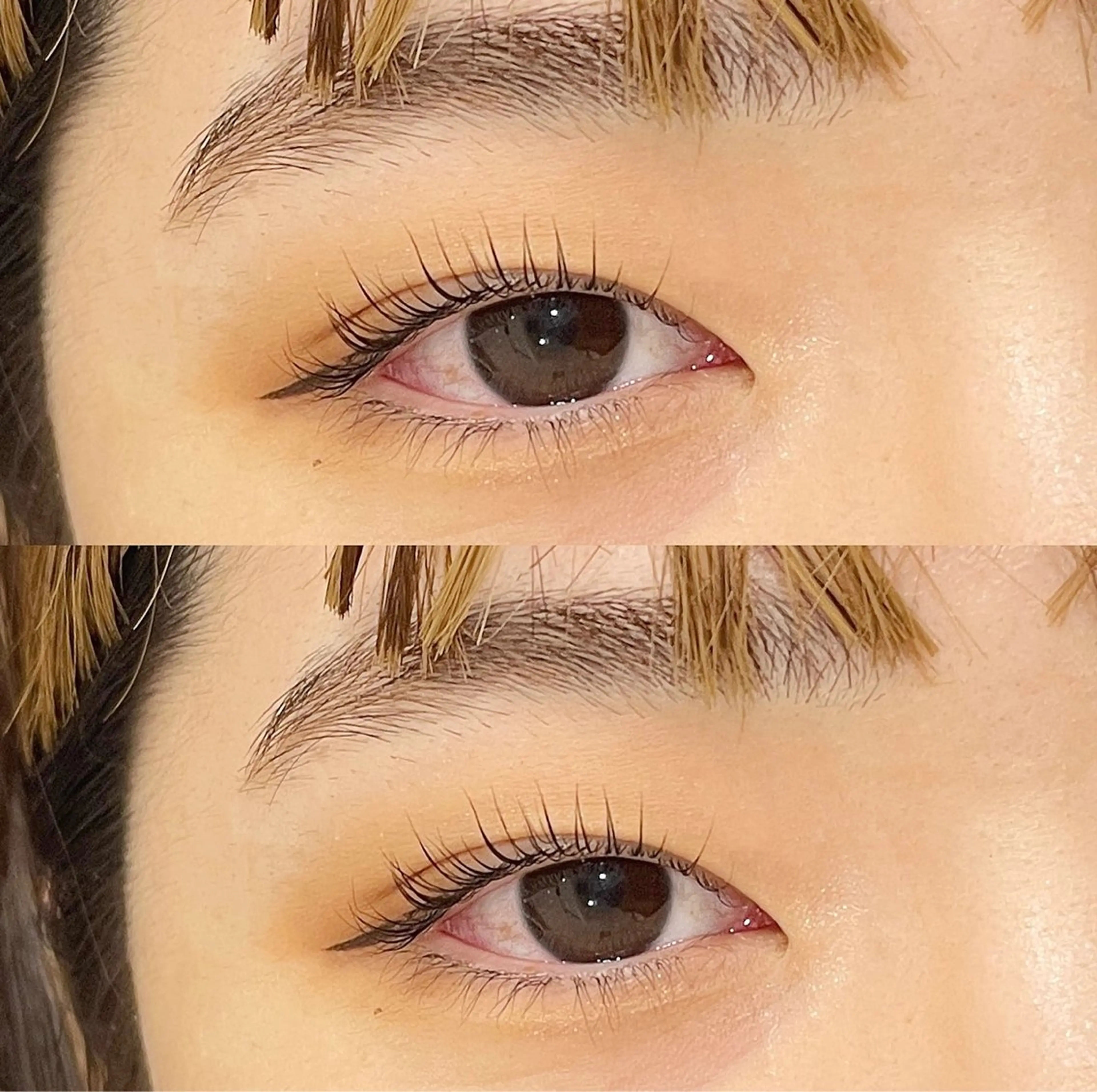 マツエク・マツパ 一重×まつ毛パーマ ニコットラッシュ 大阪駅前第2ビル店原のマツエク・マツパデザイン