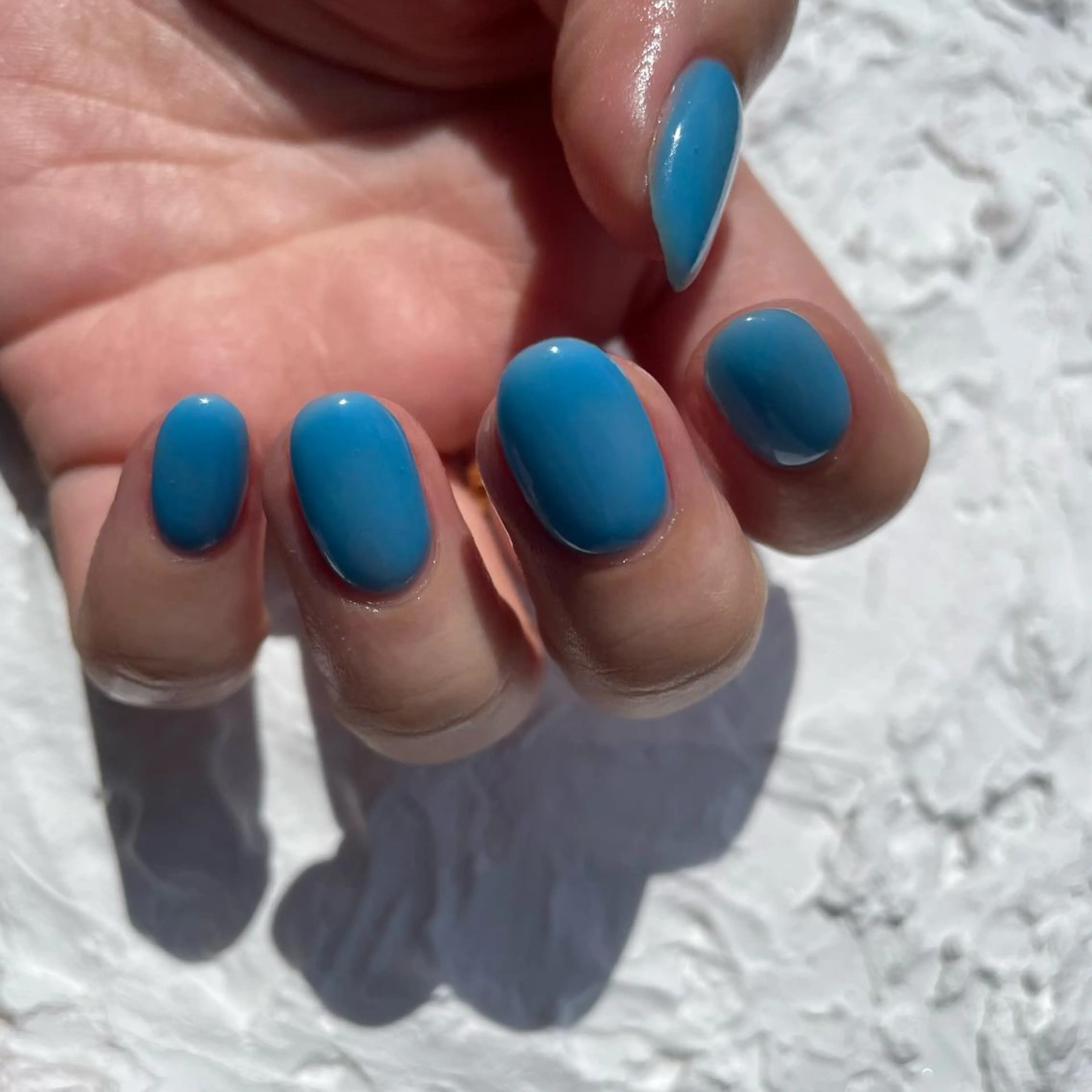 1カラー🫧🎨 ｟オフあり｠の写真