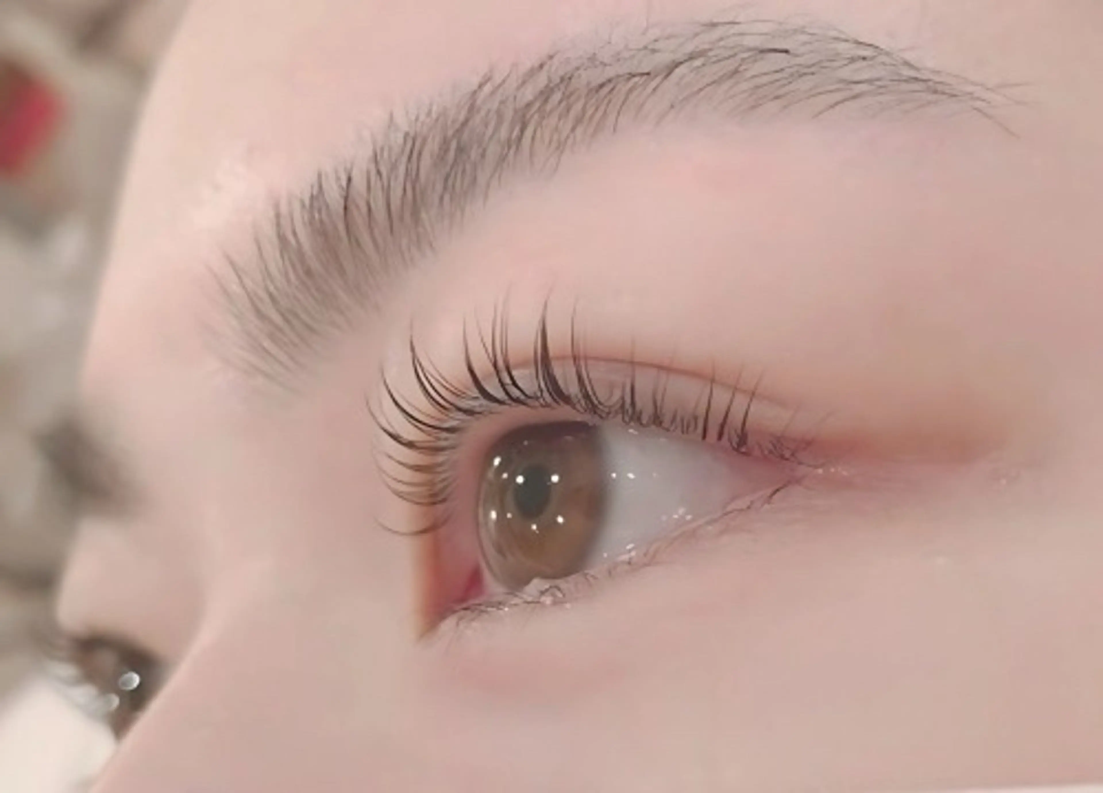 【💜🇰🇷韓国風束感🇰🇷💜】根本から立上げ🎶まつ毛パーマ 、パリジェンヌの写真