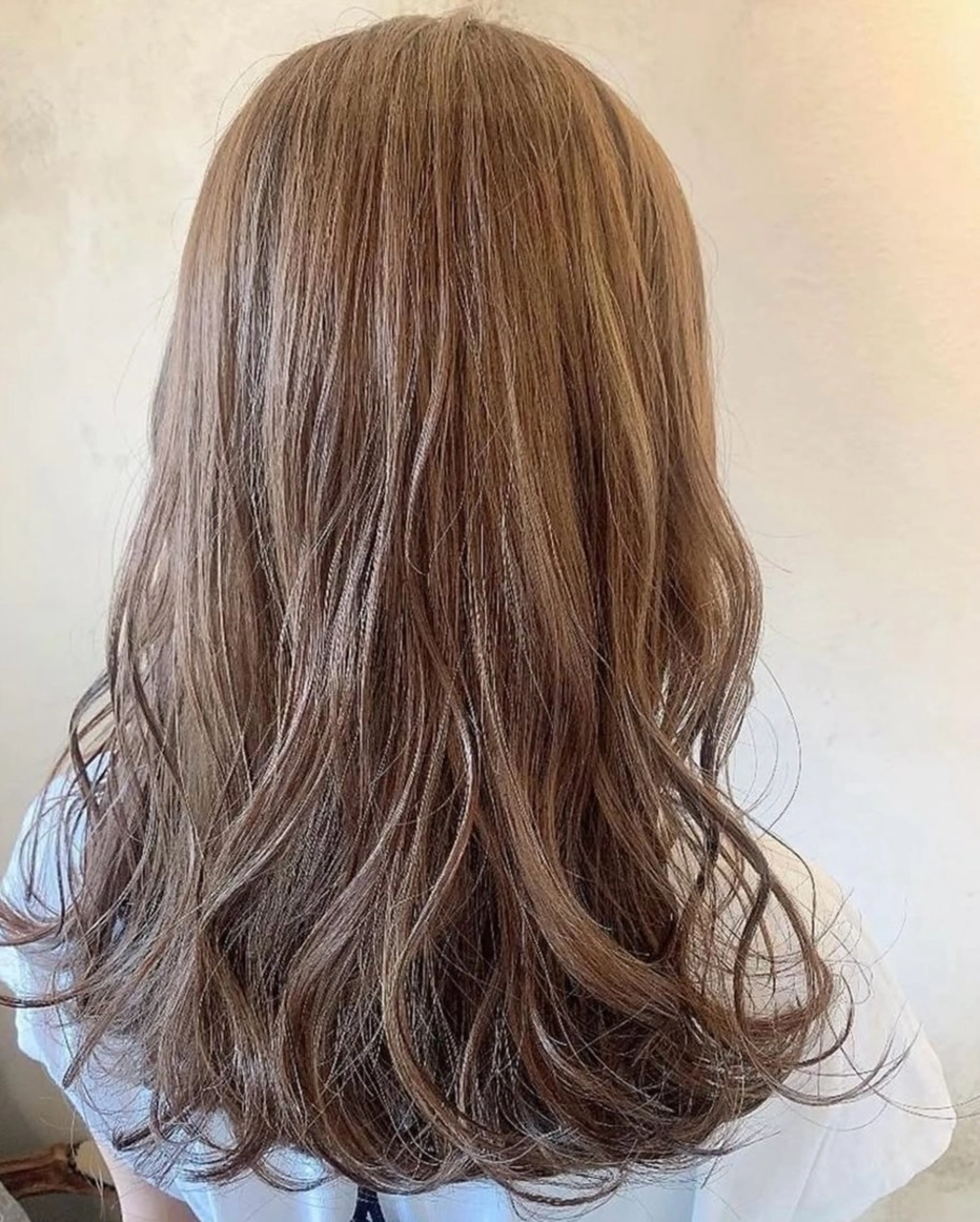 ワンカラーモデル募集中の写真