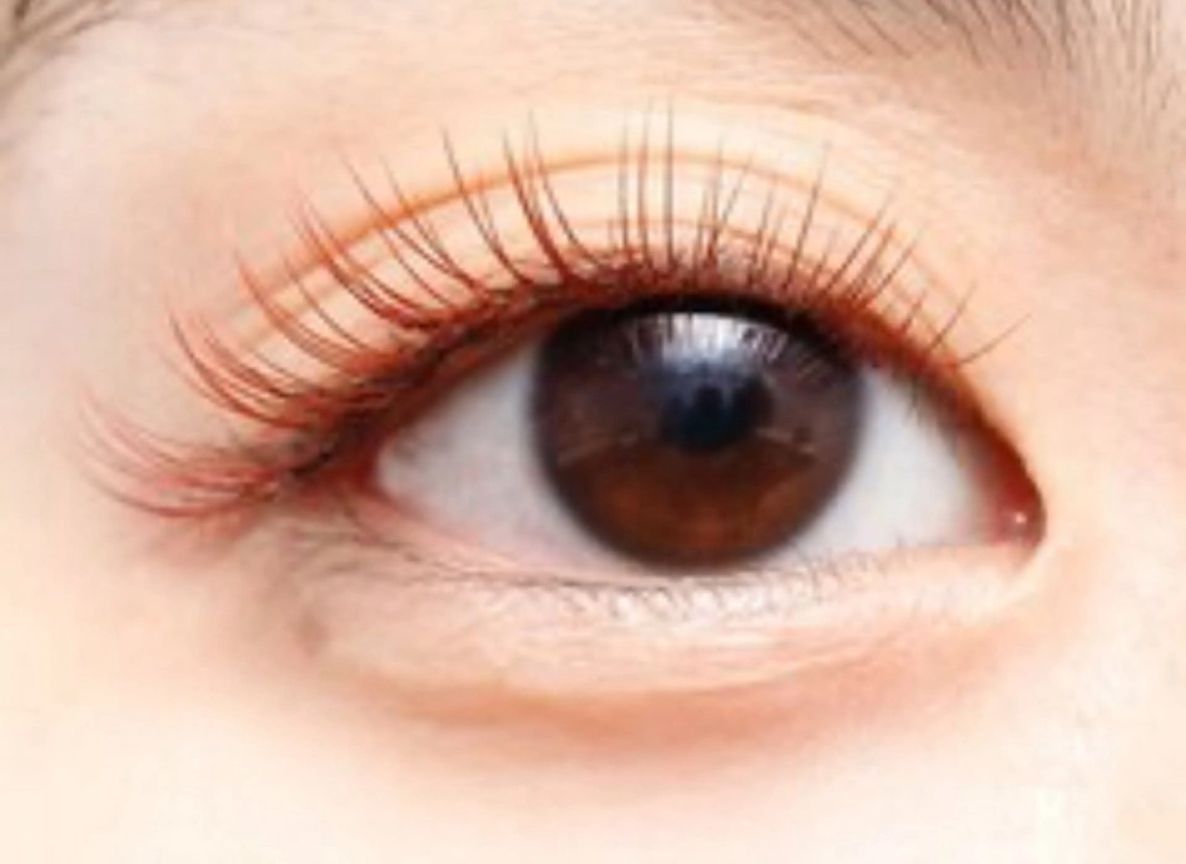 マツエク・マツパ DL BEAUTY 渋谷のマツエク・マツパデザイン