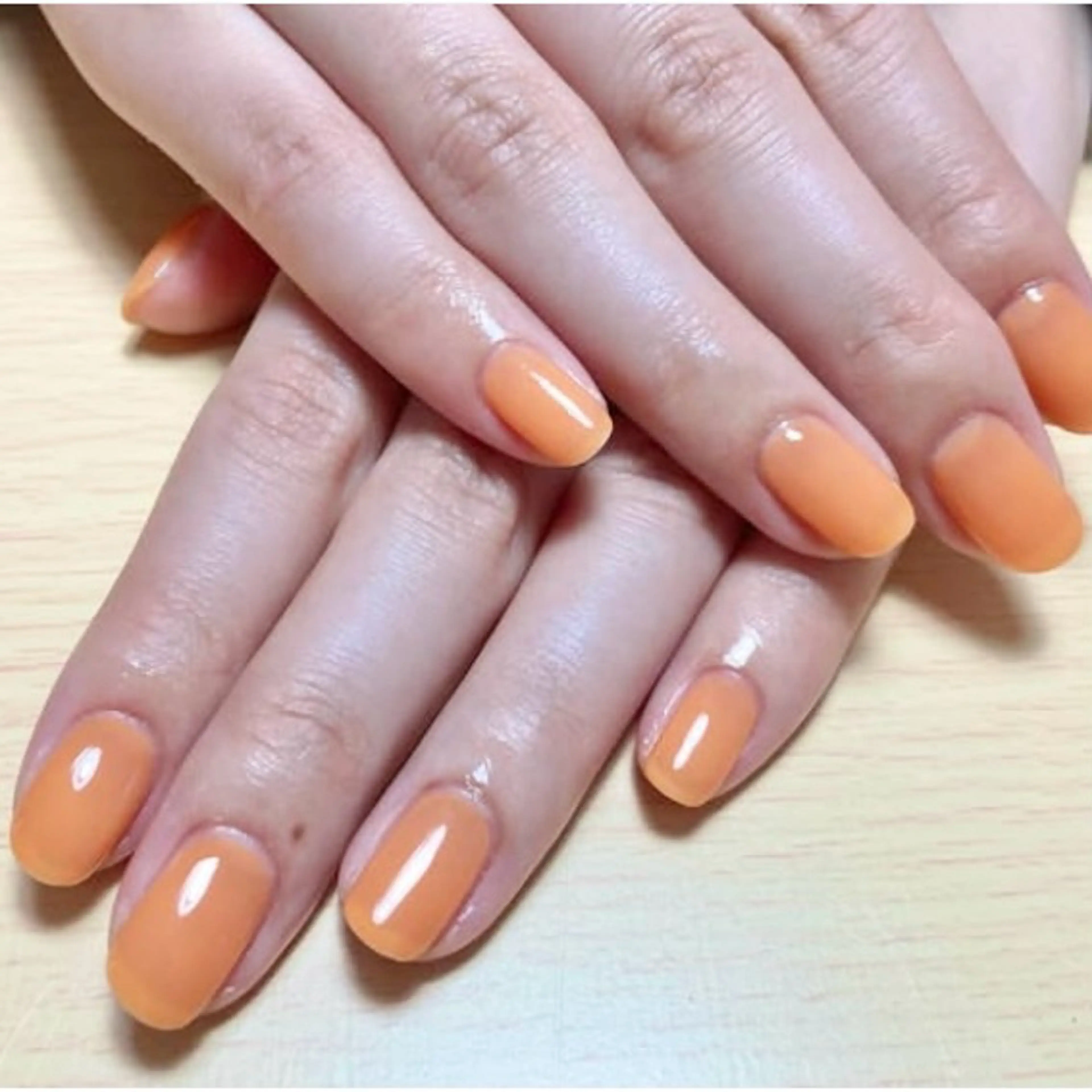 ワンカラー(オフ有り)の写真