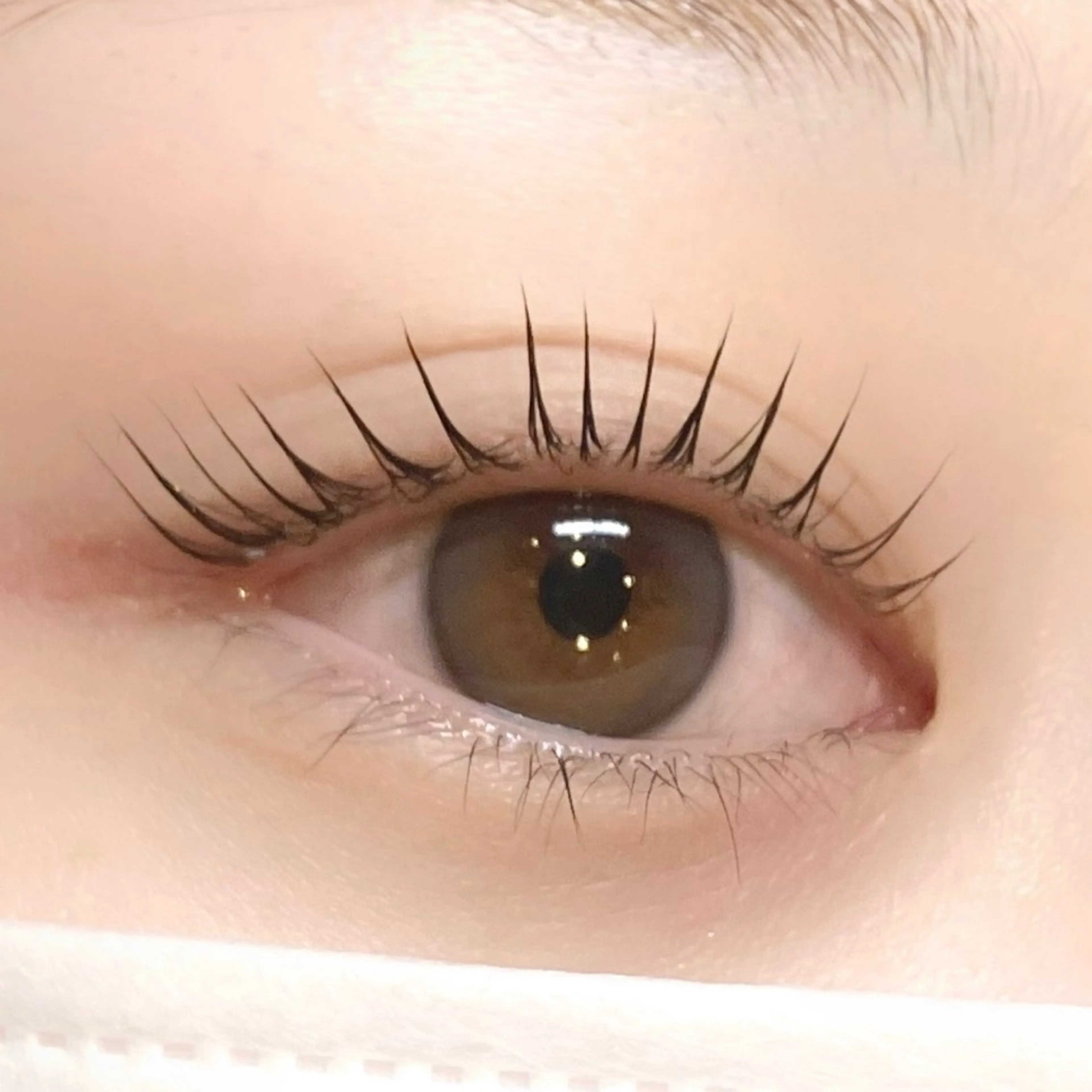 【新規】ラッシュリフト コーティング仕上げ付きの写真