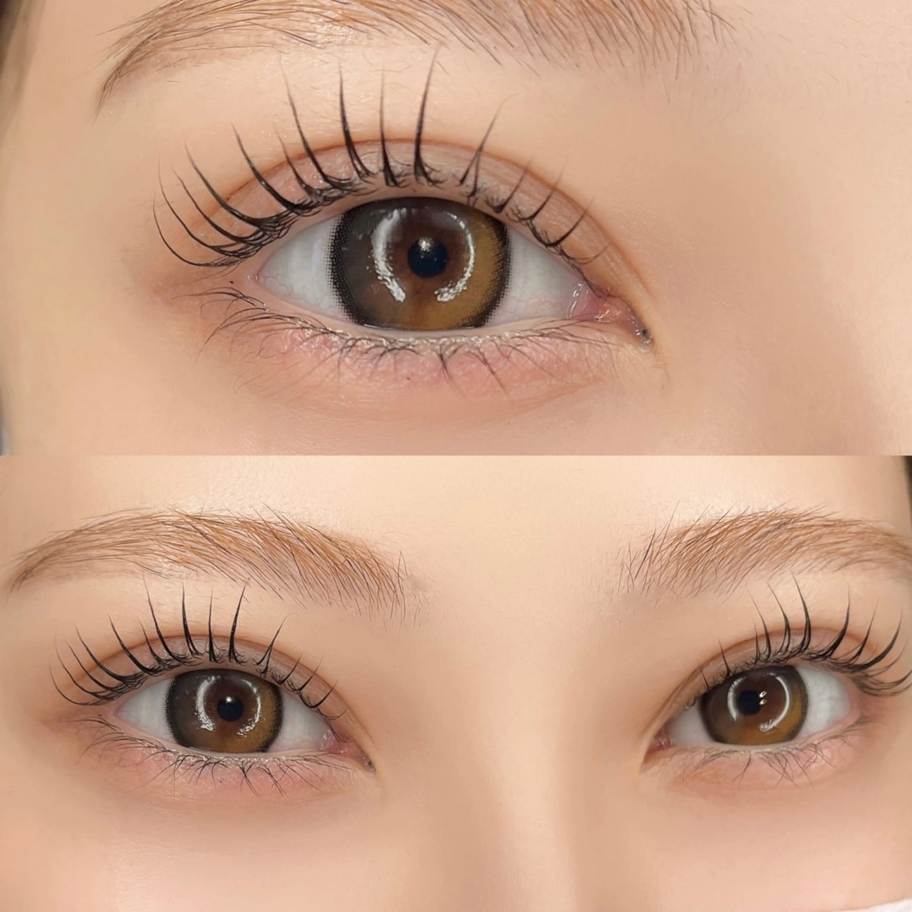 《ミニモ限定👁✨》しっかり立ち上がる♪パリジェンヌラッシュリフト＋美容コーティング付の写真