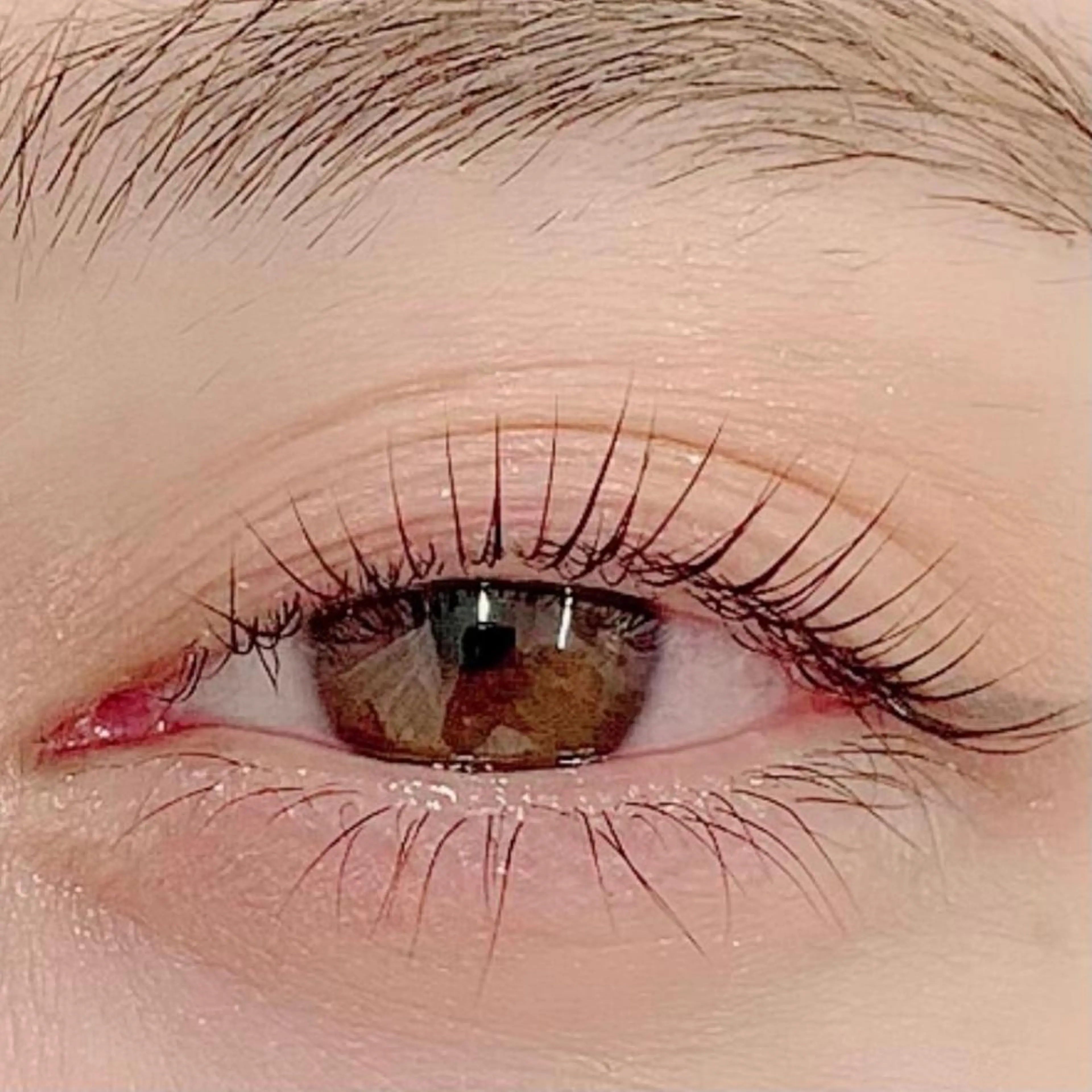 マツエク・マツパ 韓国風マツエク まつげパーマ BellFlower Aki（眉・まつげ）のマツエク・マツパデザイン