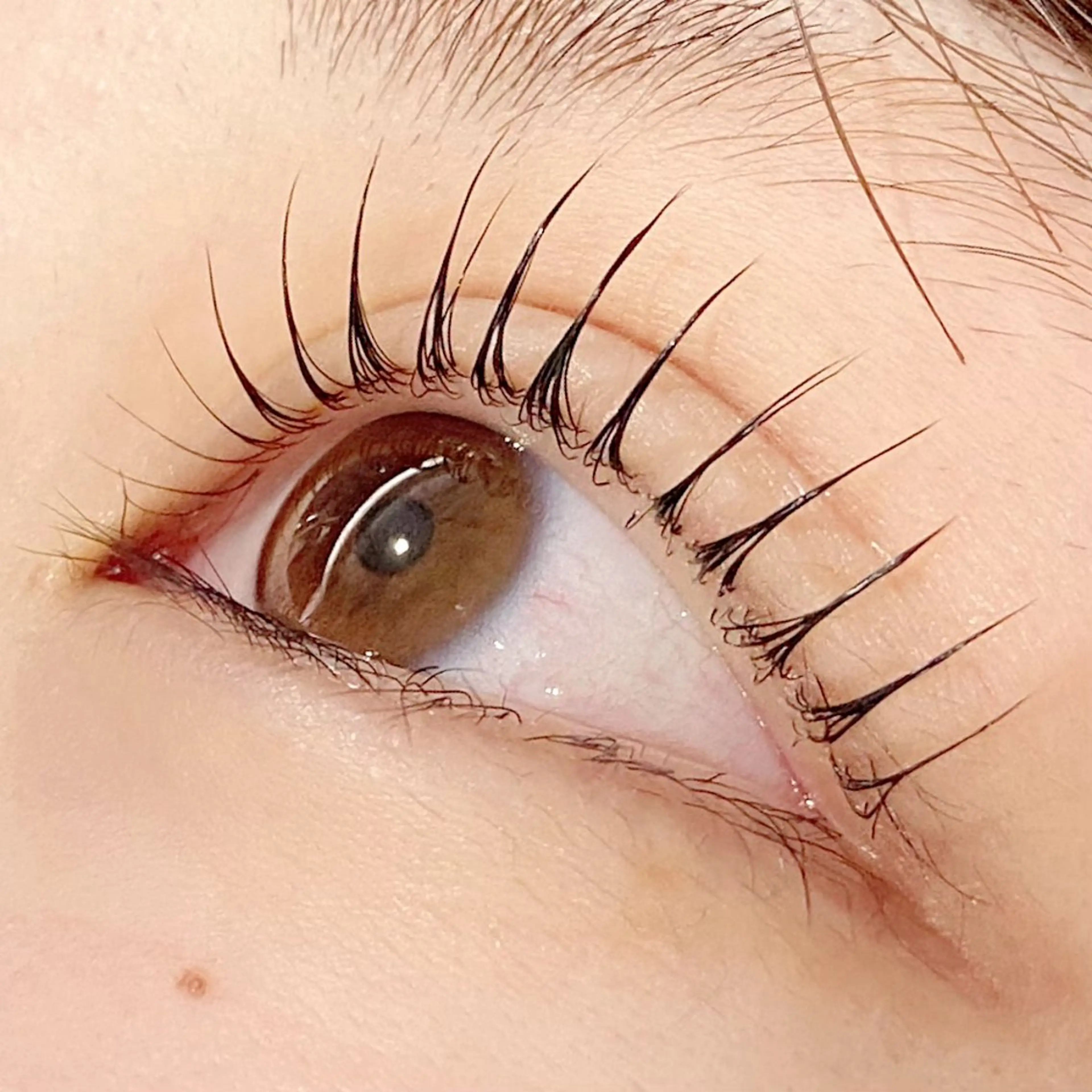 マツエク・マツパ パリジェンヌラッシュリフト マリーテレジア♡⛓ NAGANAWAのマツエク・マツパデザイン