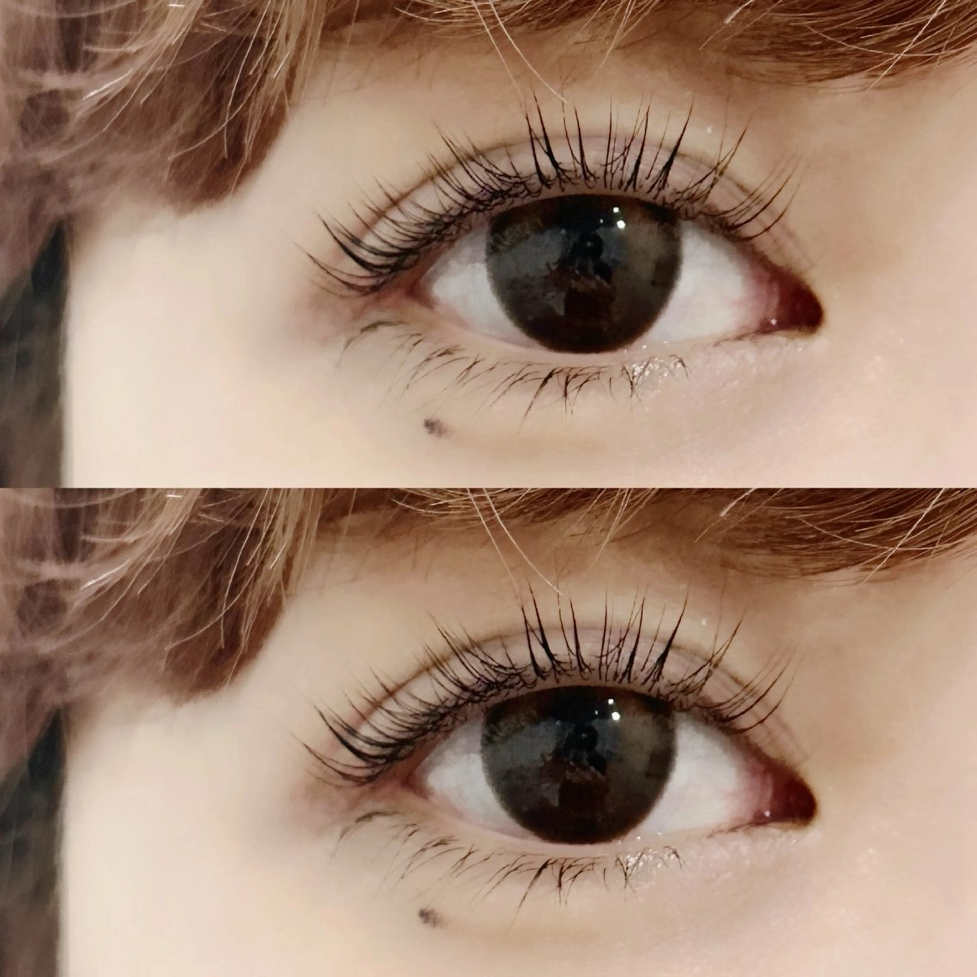 【💖ラッシュリフト💖】立ち上げorカールお選びいただけます˖ ࣪⭑コーティング付の写真