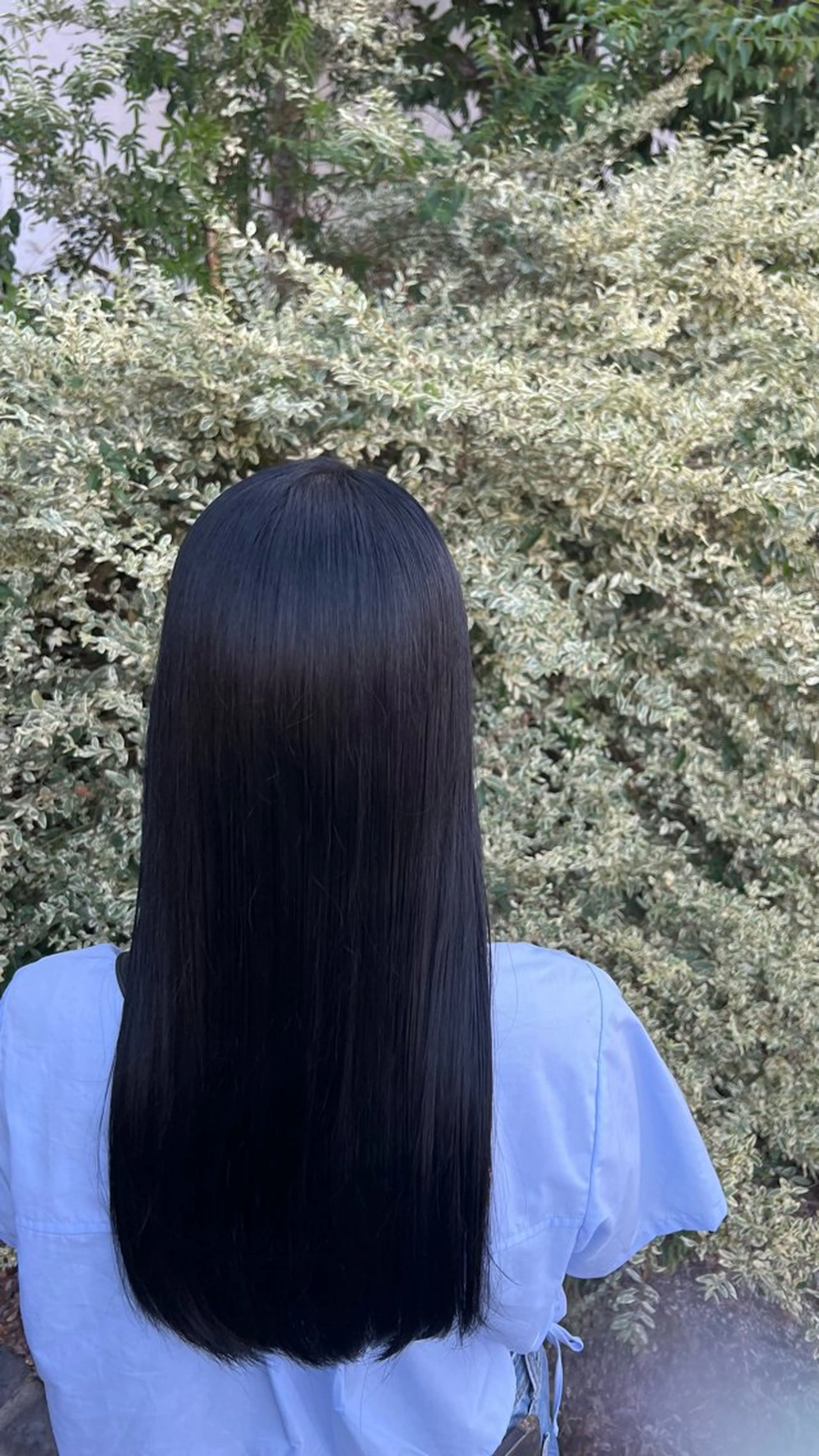 ロング いくみ/豊橋 /艶カラー/髪質改善のヘアスタイル