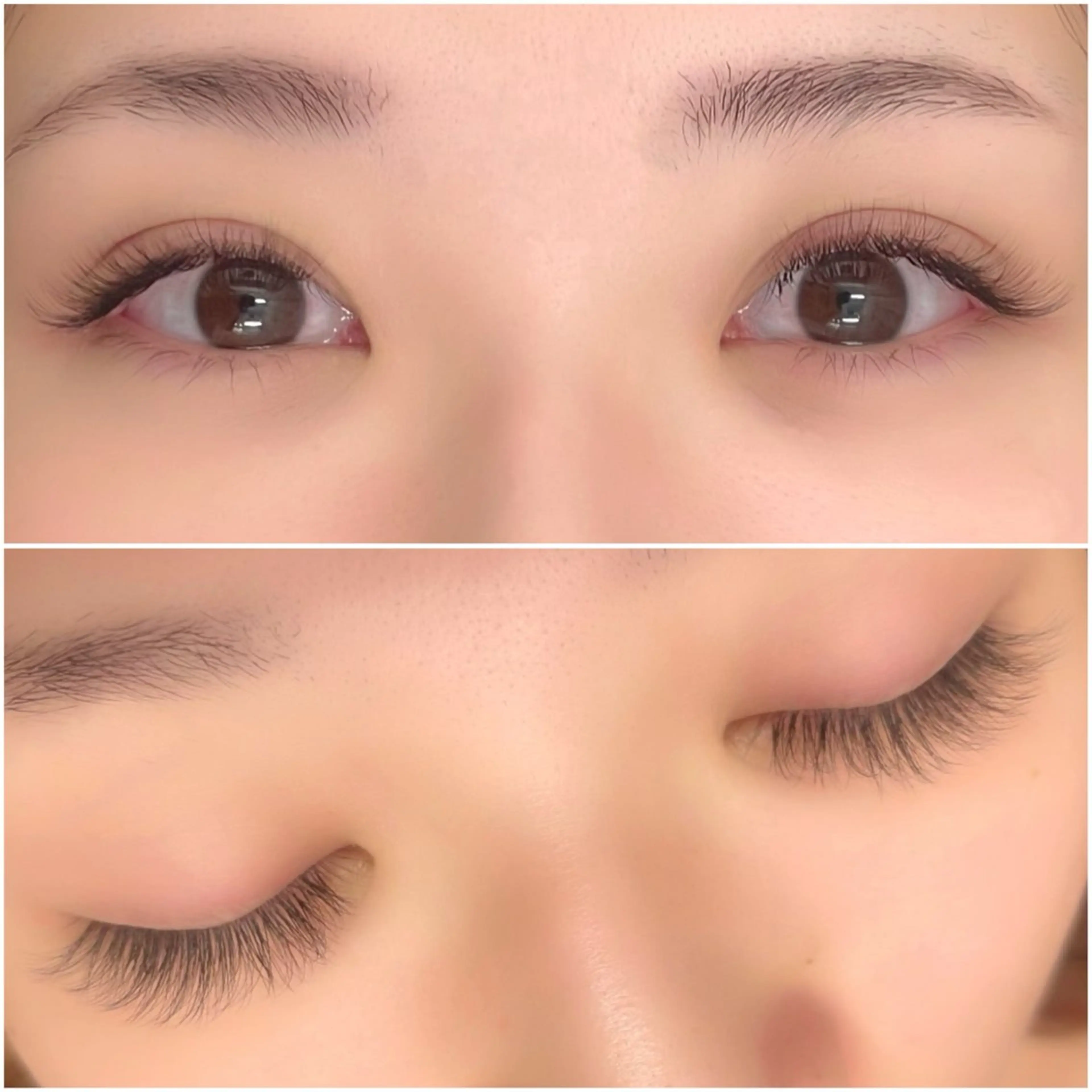 マツエク・マツパ Lupines 🌼Ruri🌼のマツエク・マツパデザイン