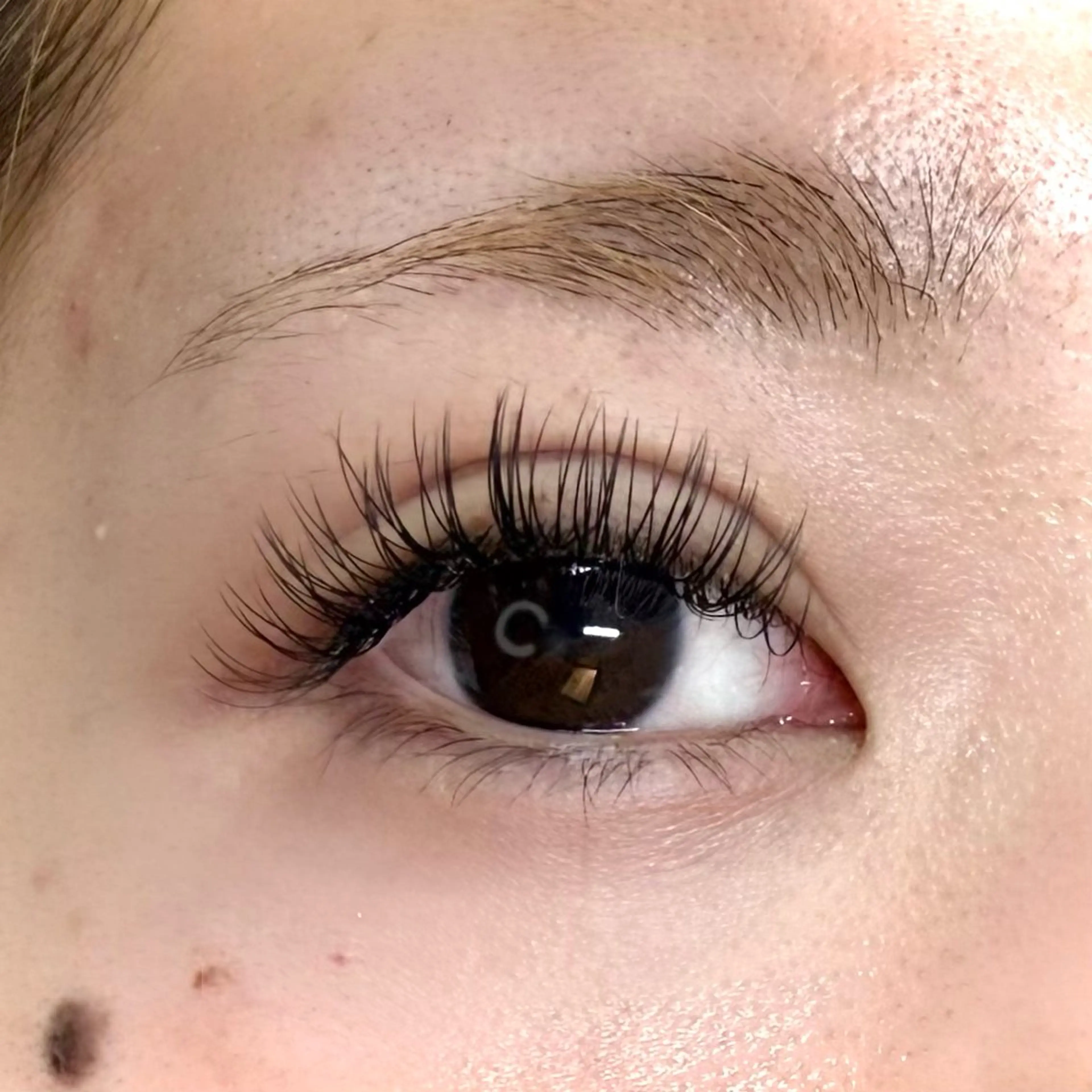 オフ込☆LEDセーブル【つけ放題】の写真