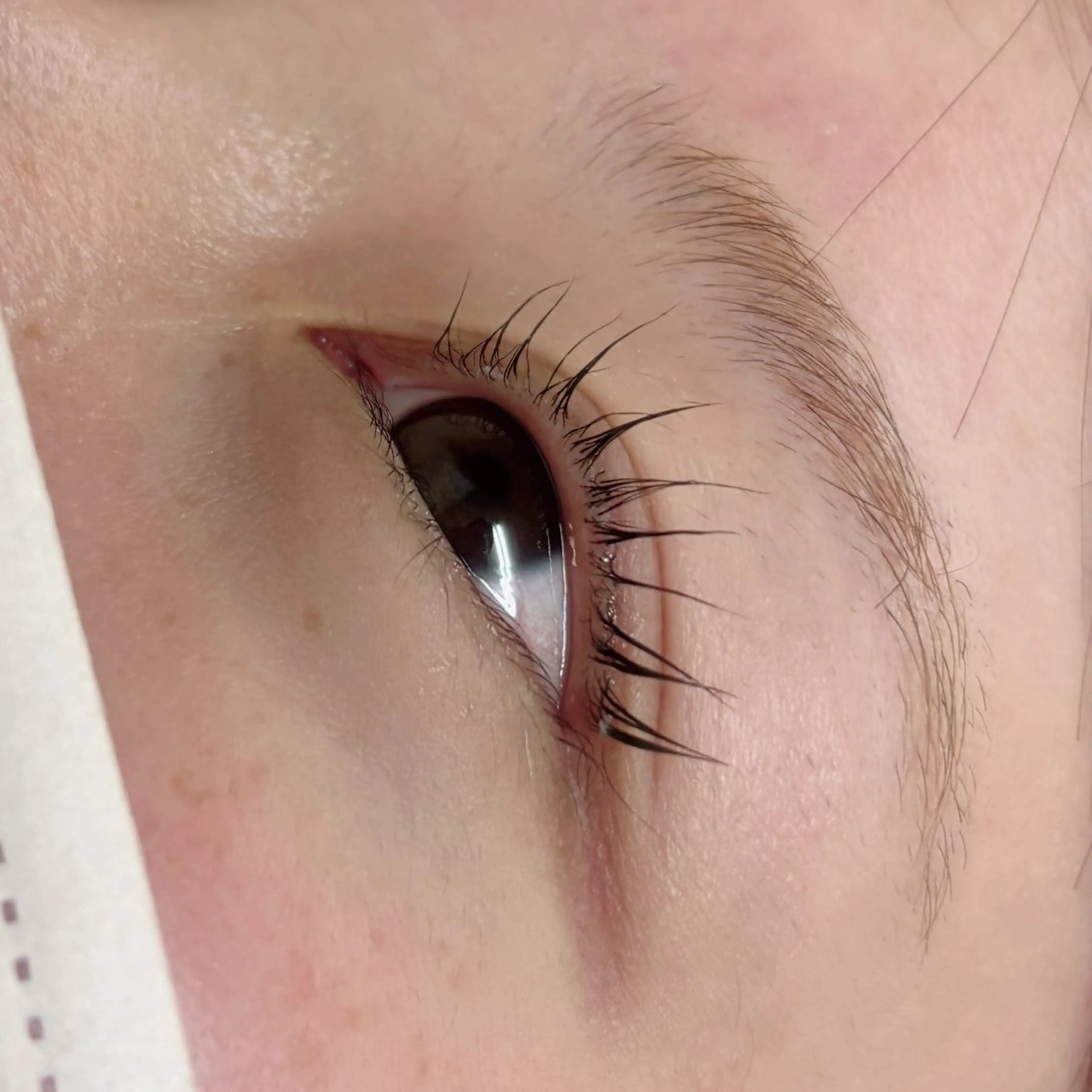 マツエク・マツパ 彩楓 /EYELA🪄ྀིのマツエク・マツパデザイン