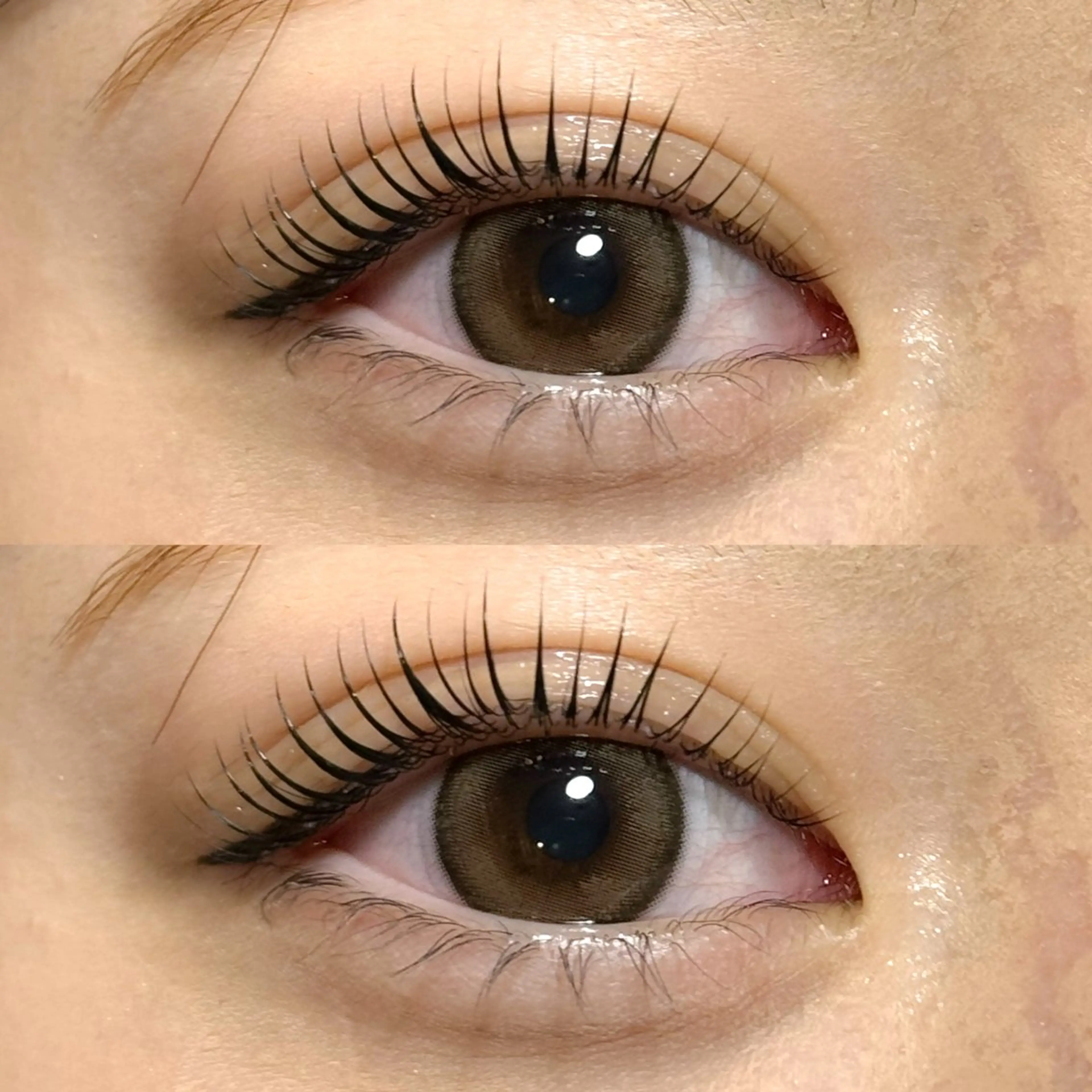 韓国風束感まつ毛パーマ上orパリジェンヌ上🩷美容成分入りコーティング剤付き✨の写真