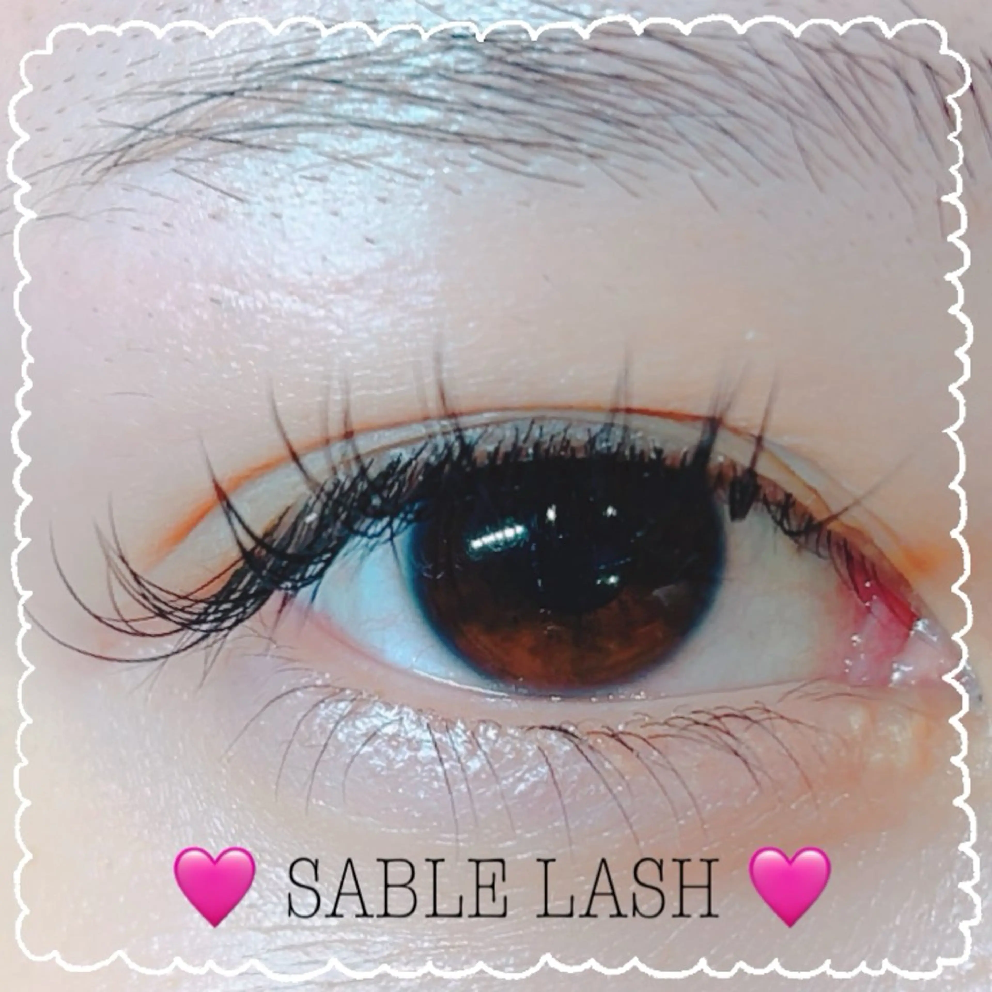 ãããšã¯ã»ããã ãããšã¯ PutiLuca äœã
æšã®çæ¯ã»ã¢ã€ãããŠã€ã¡ãŒãž