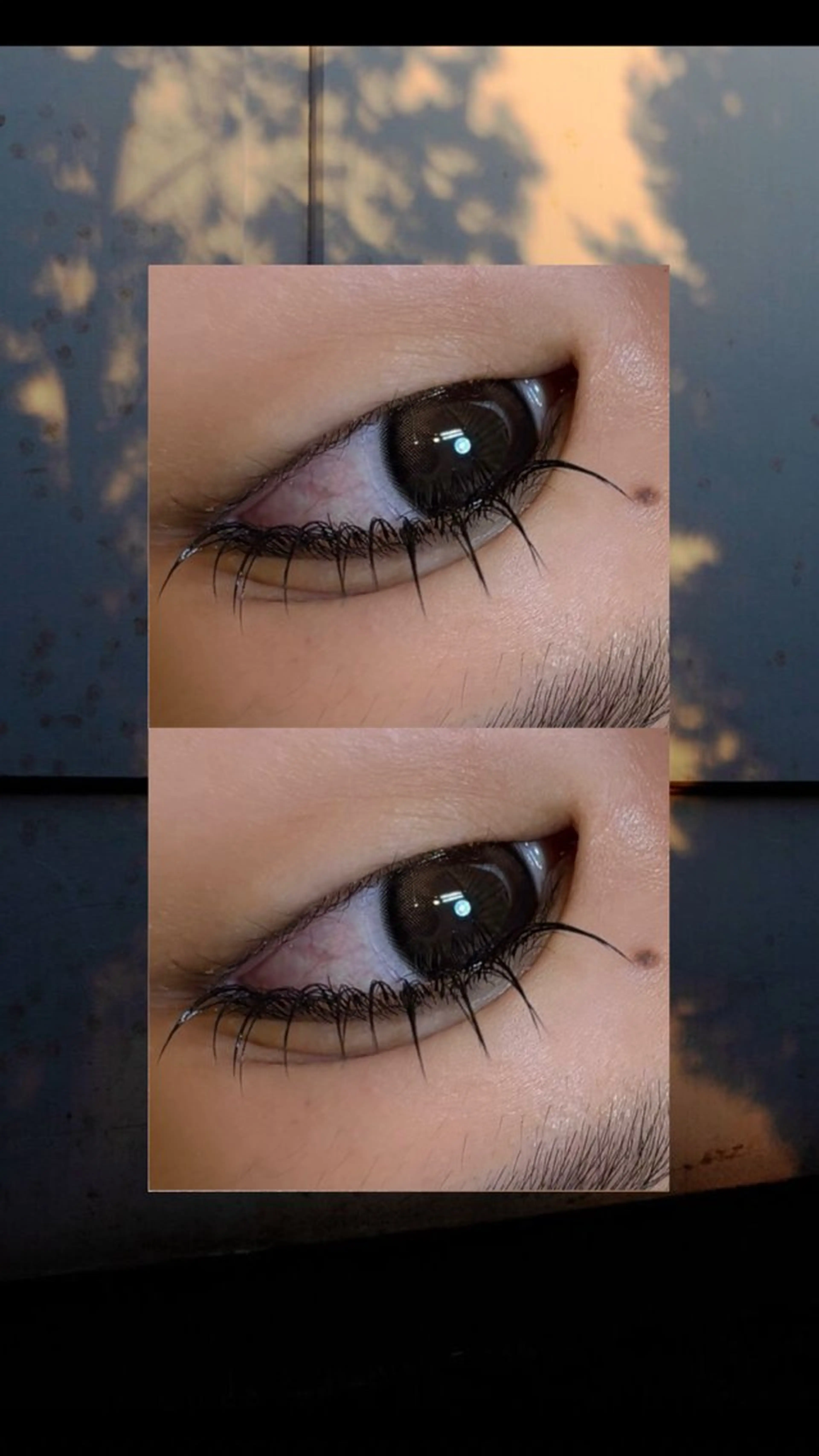 フラットラッシュ120本までの写真