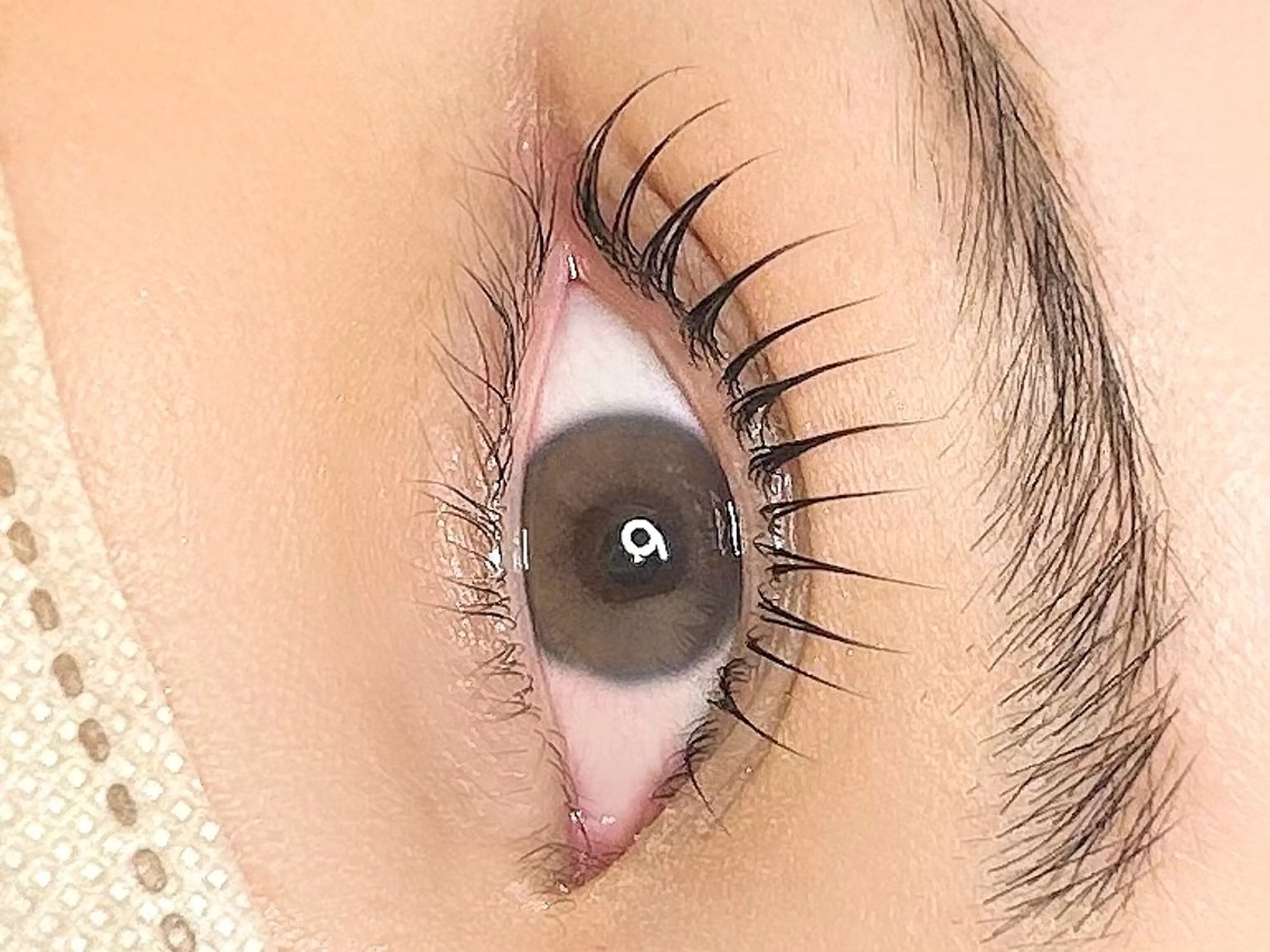 マツエク・マツパ GO TODAY SHAiRE SALON表参道Luce店所属・Mia 🕯️🤍のマツエク・マツパデザイン