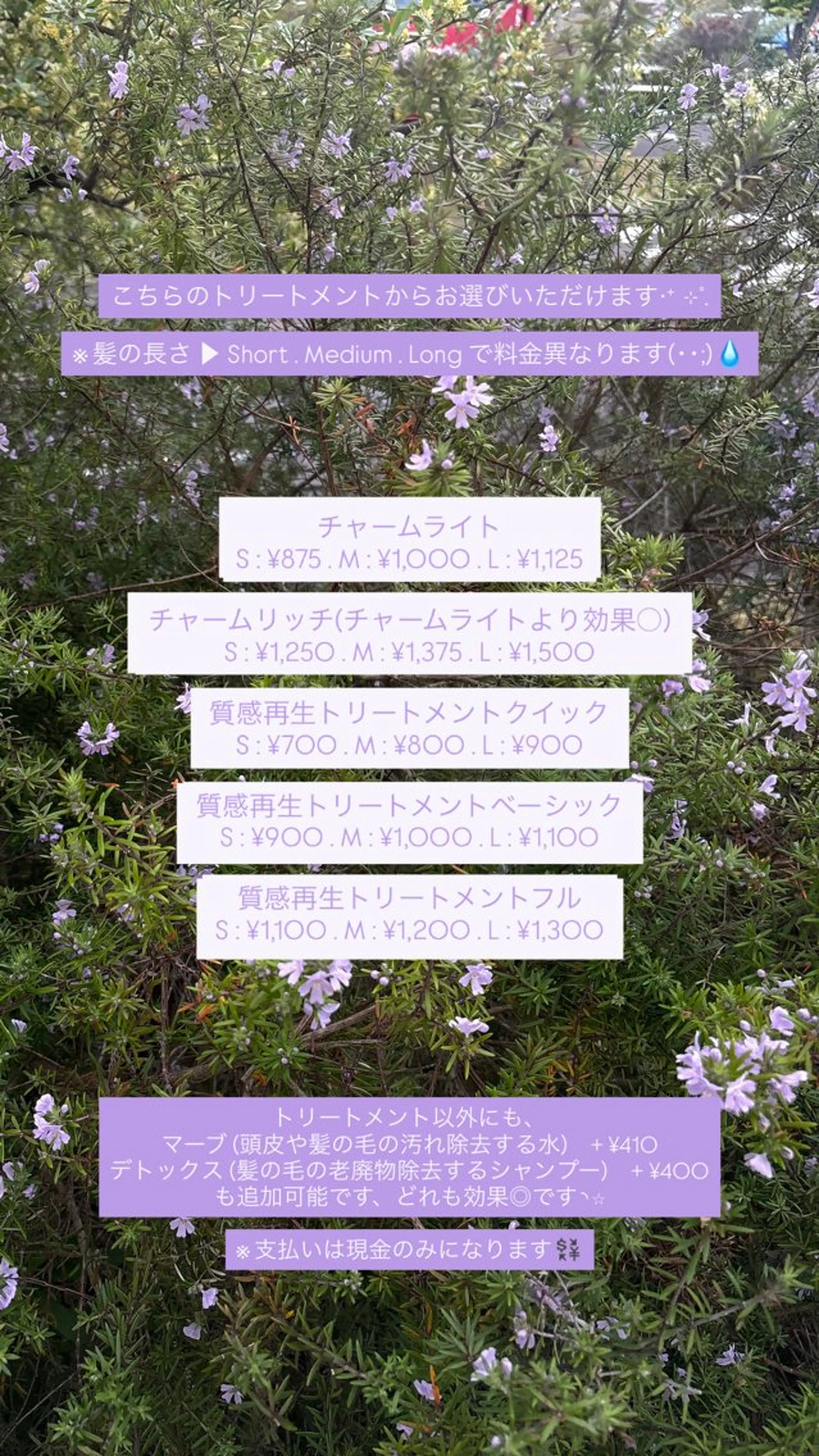 HIBIKI / ブリーチモデルのヘアスタイル