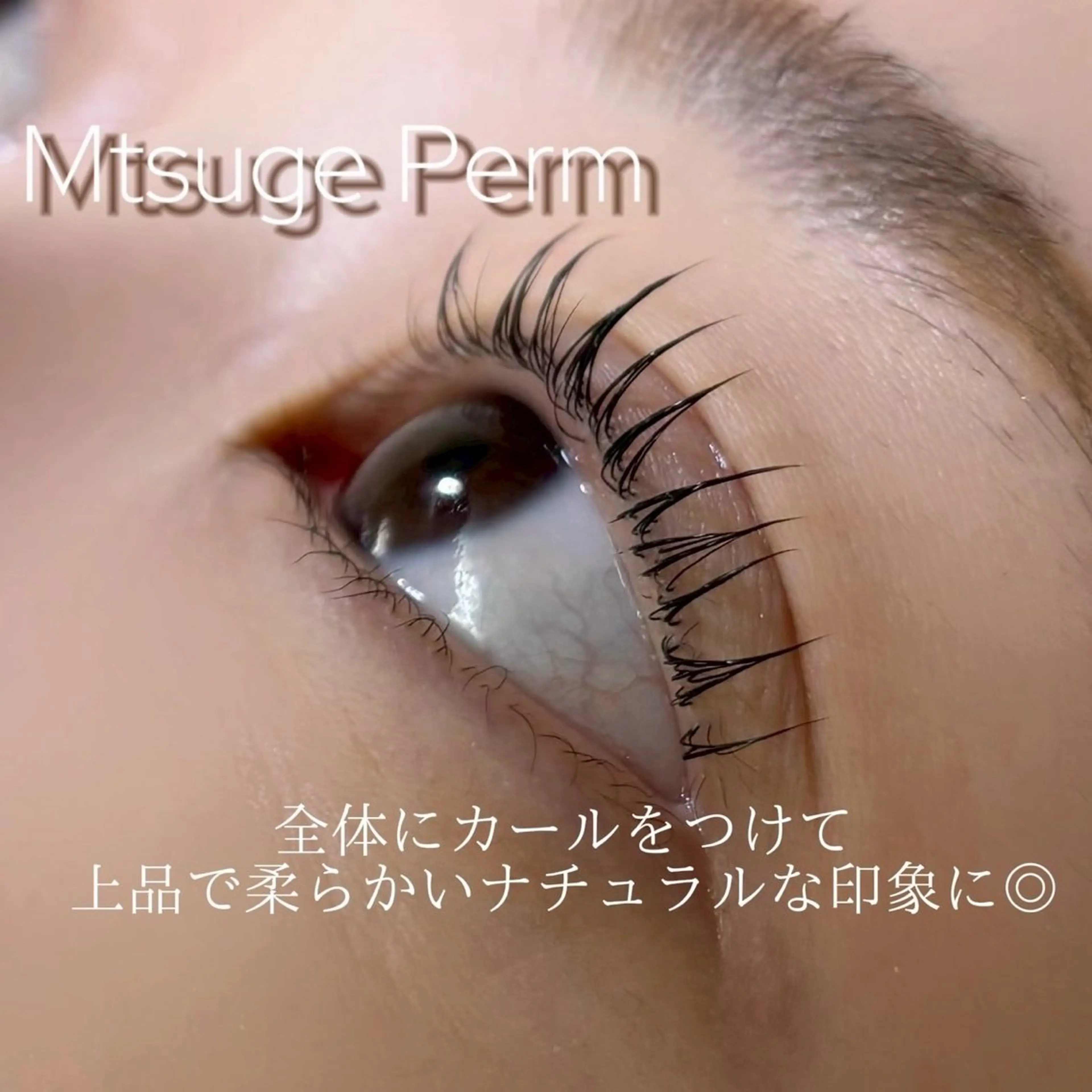 Open価格*ダメージ回避🌙まつげパーマ×ケラチントリートメント🤍4580円の写真