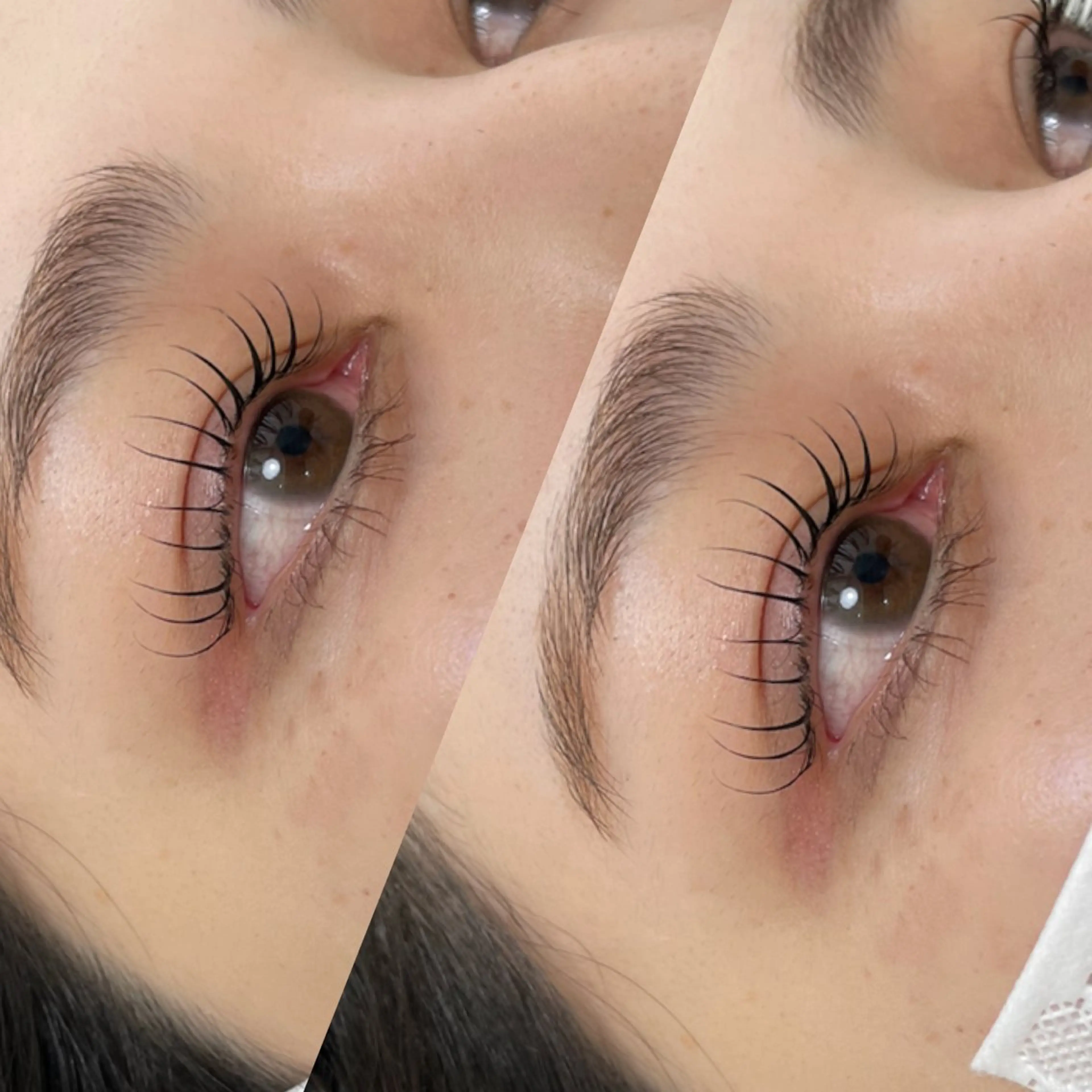 マツエク・マツパ eclipse eyelashのマツエク・マツパデザイン