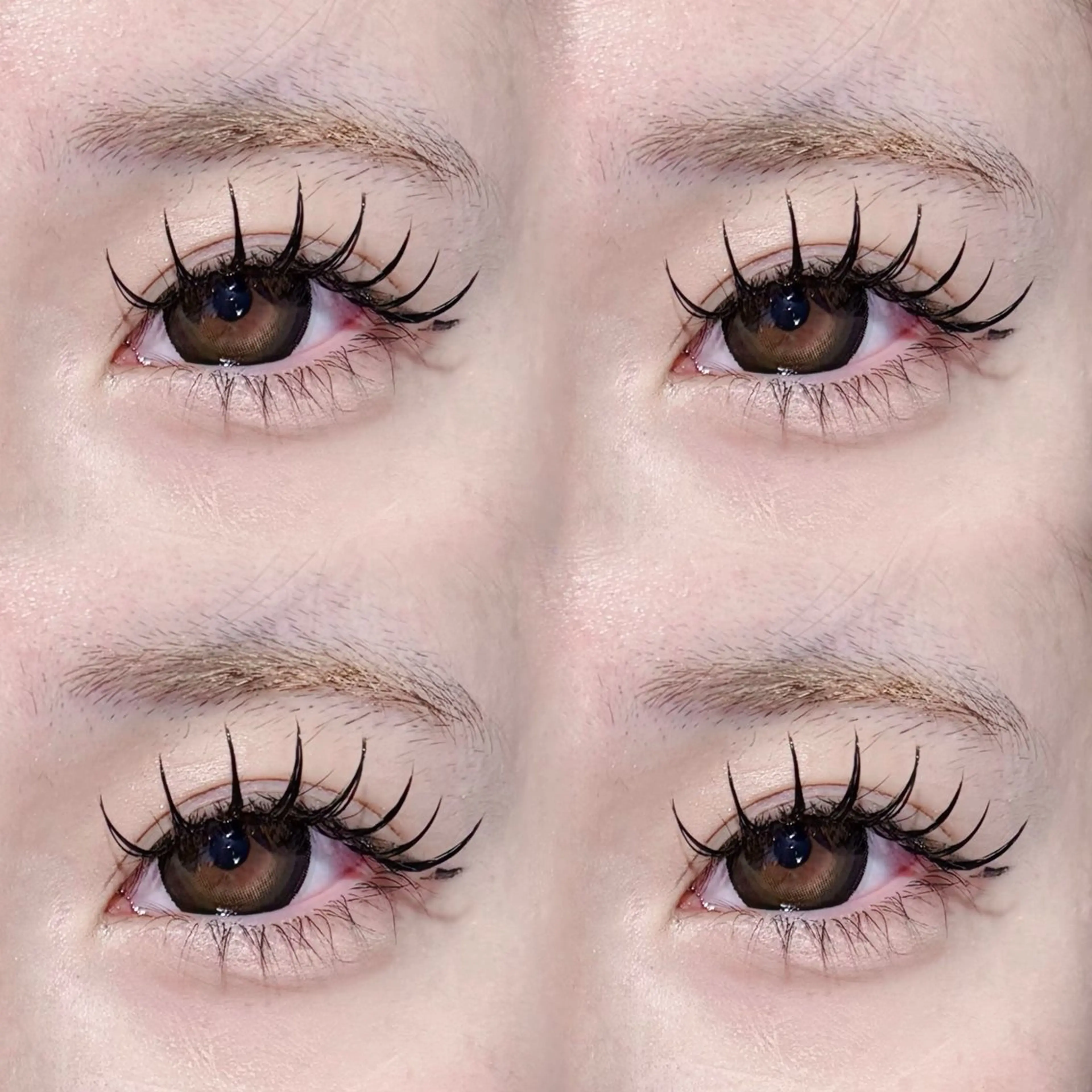 バインドロック80束♡オフ無料♡の写真