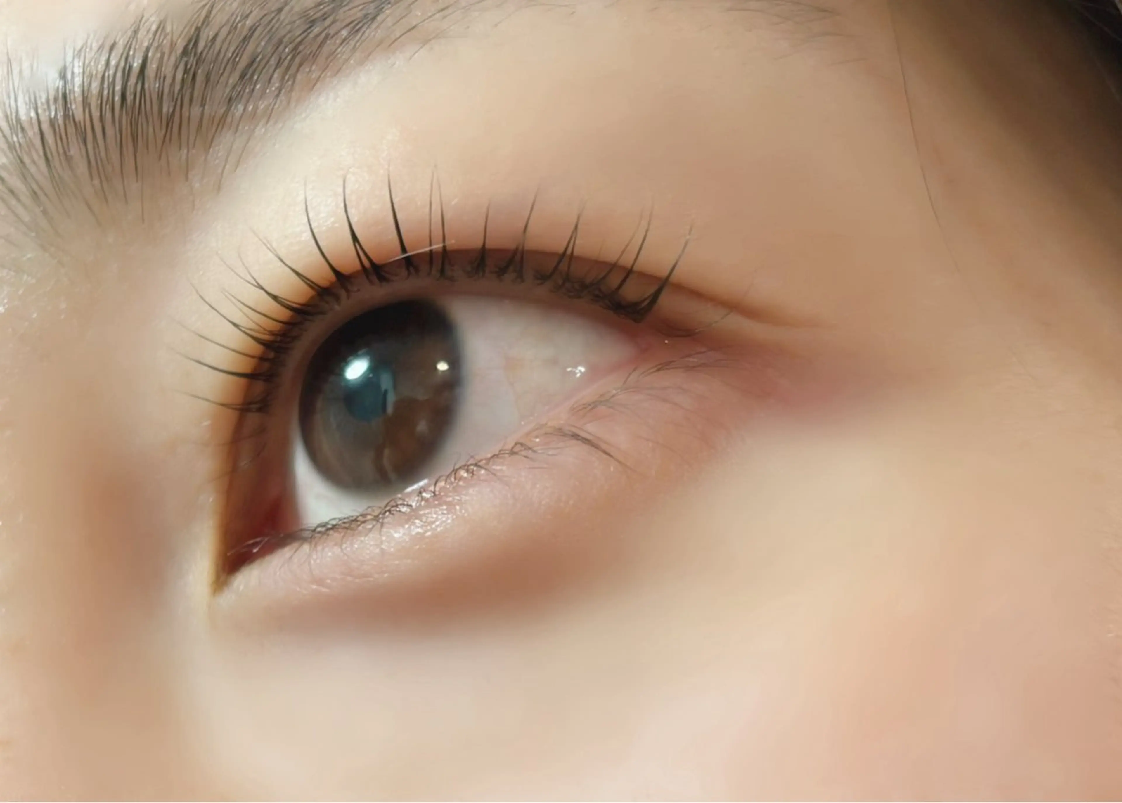 バターロッドの写真