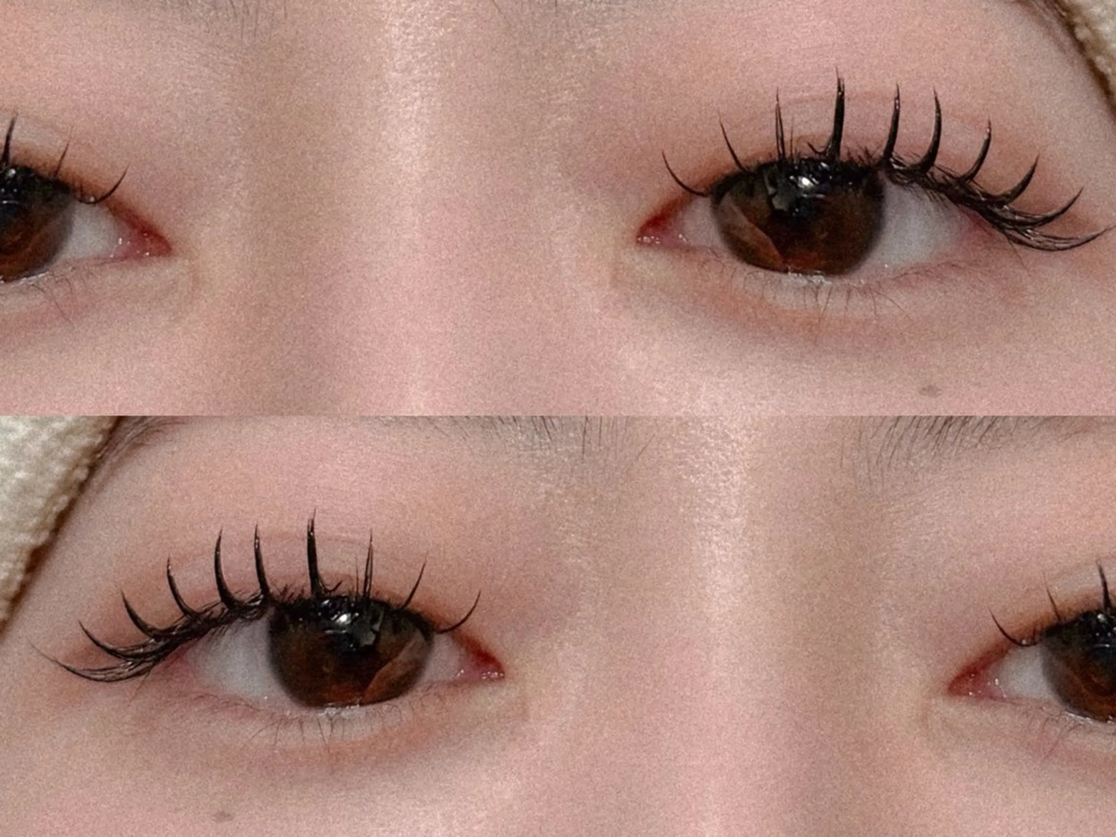 Wフラットラッシュ 120束の写真