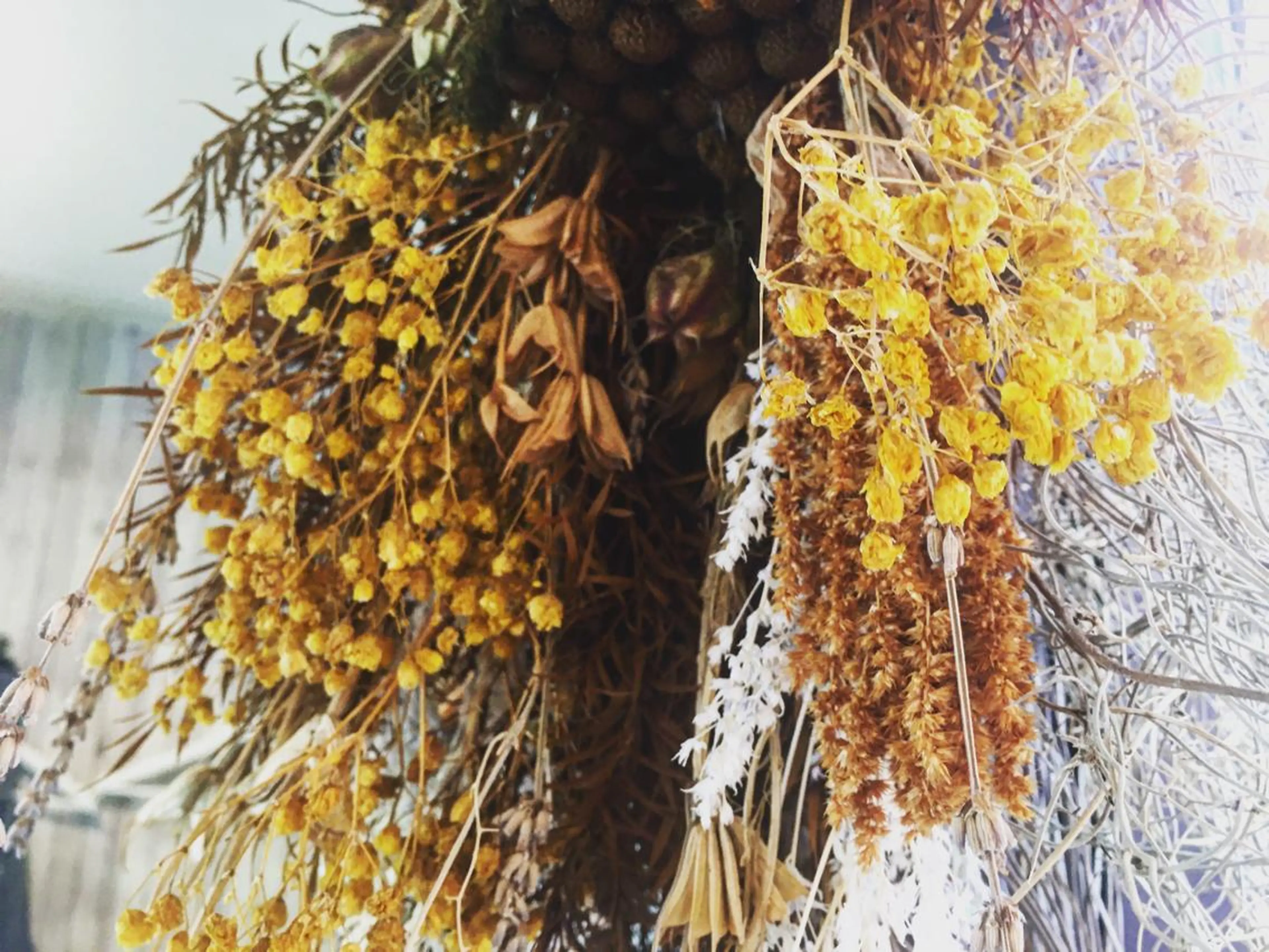 マツエク・マツパ utaeyelash所属・中川 朋美のマツエク・マツパデザイン