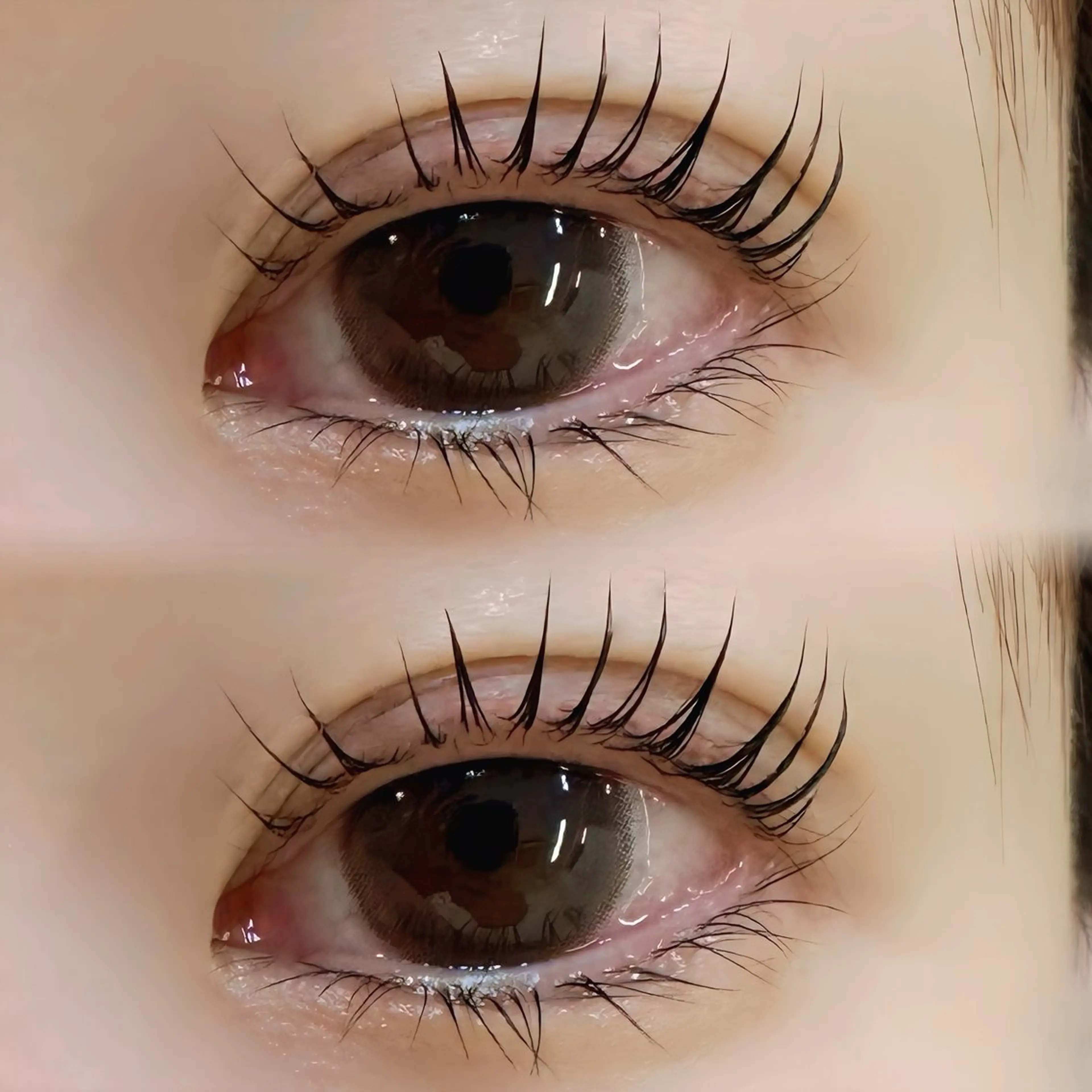 パリジェンヌ立ち上げデザイン🌻まつ毛の長さ強調したい方もオススメ¨̮✩ 60分 横浜 関内‪𓂃 𓈒𓏸の写真