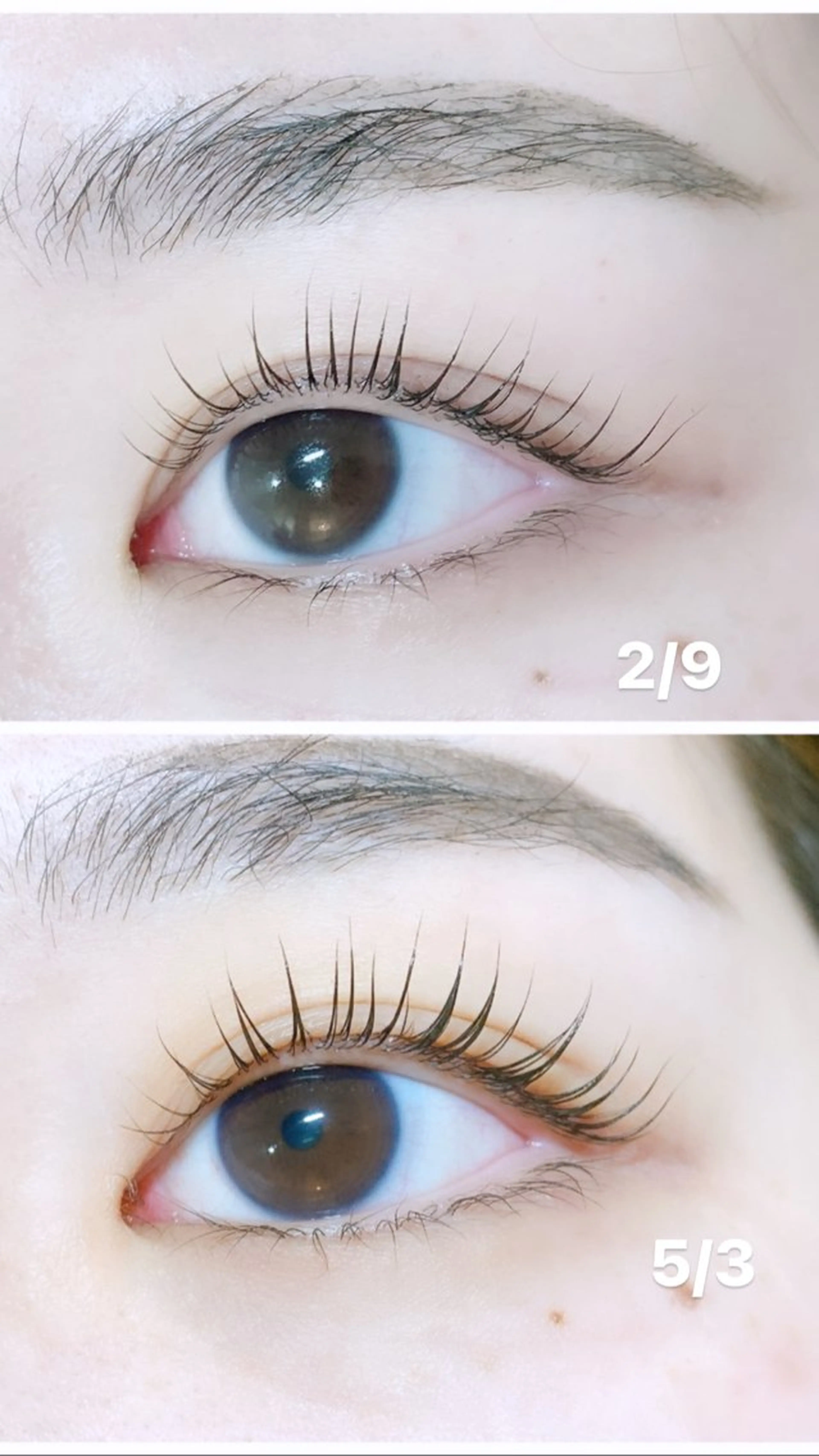 マツエク・マツパ fan.germe 副店長MIYABIのマツエク・マツパデザイン