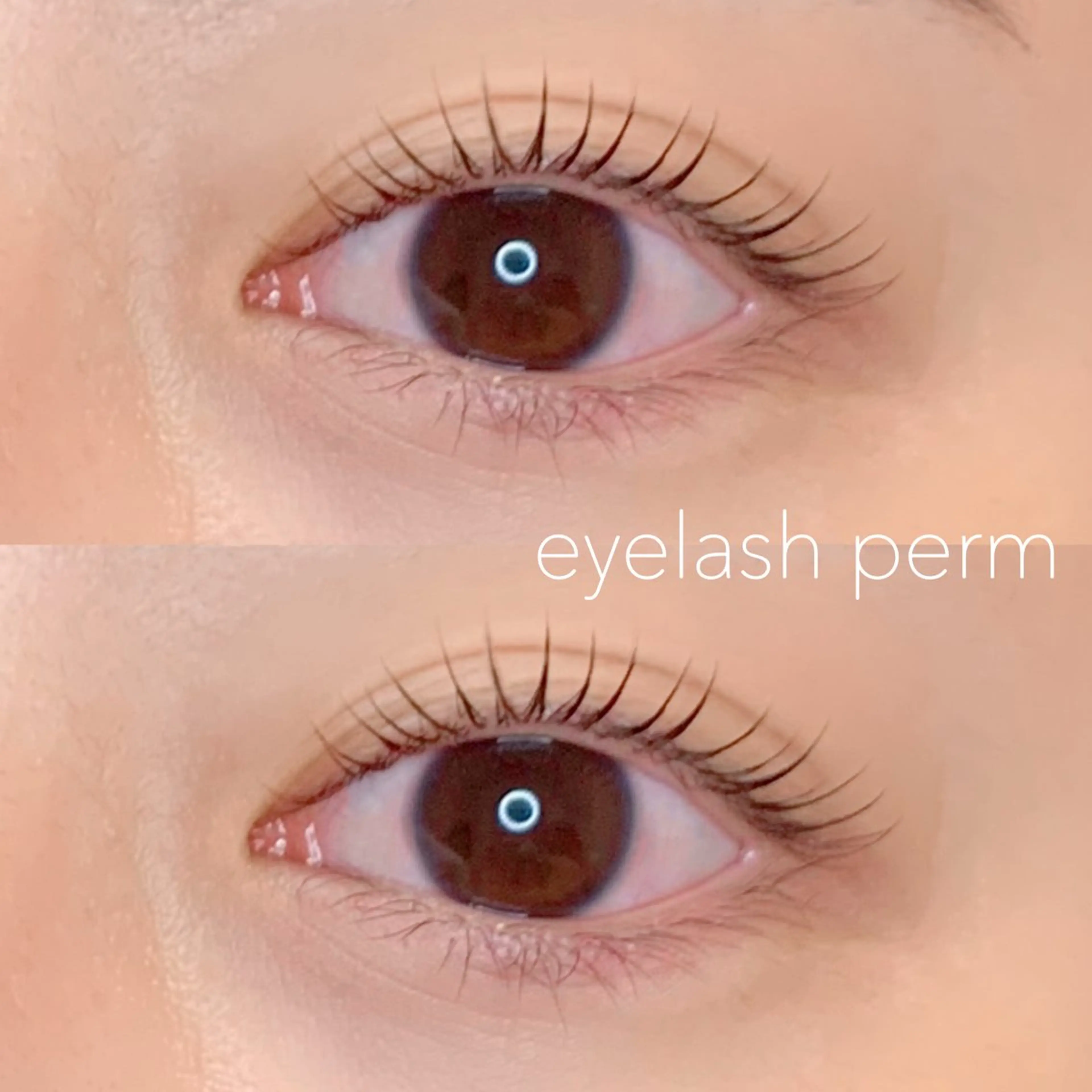 マツエク・マツパ 束感まつ毛 Cカール 韓国風マツエク Lカール まつげパーマ マツパ ohime 新宿店 natsumiのマツエク・マツパデザイン