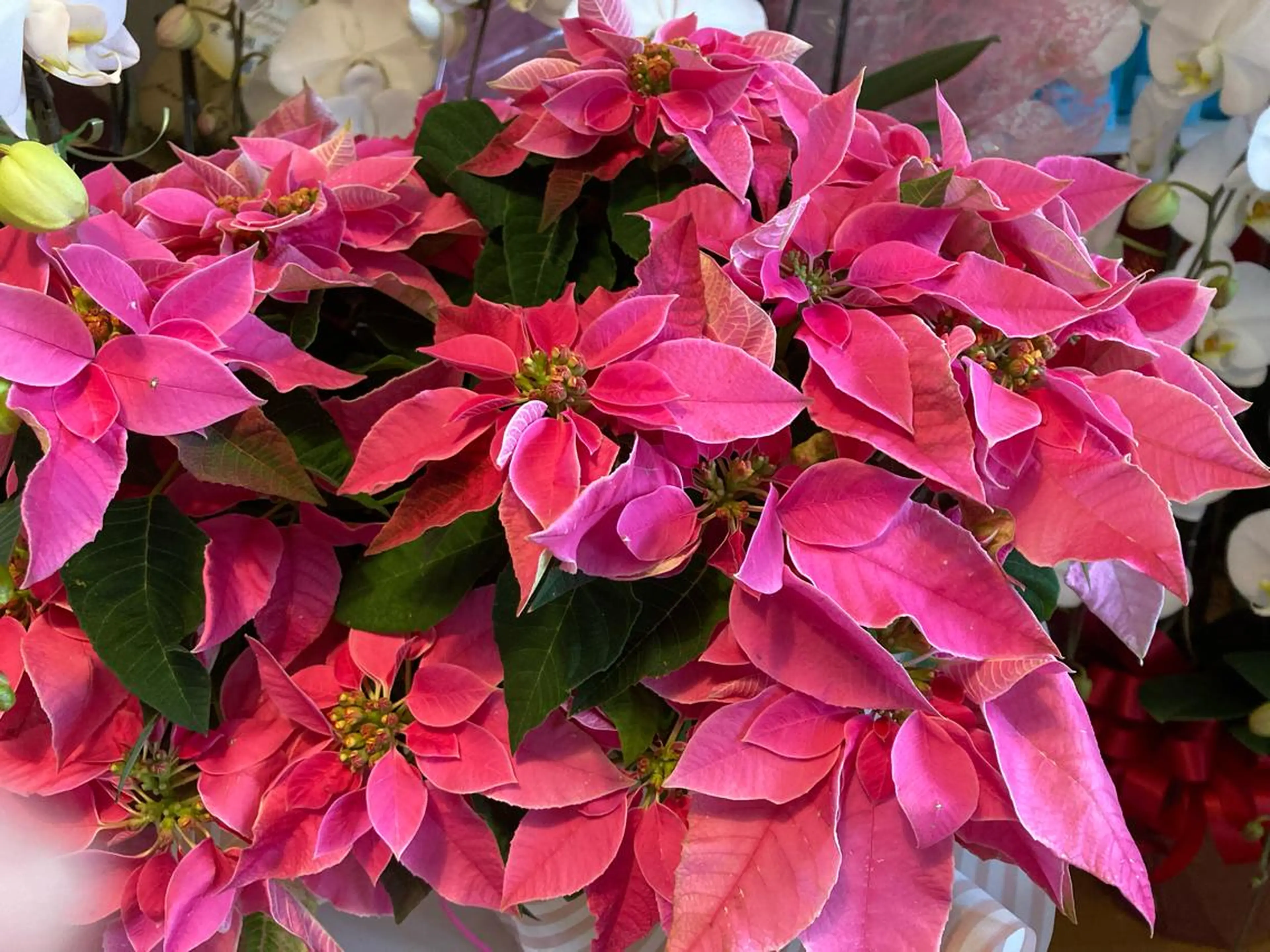 メナードフェイシャルサロン西熊本駅南所属・メナード 西熊本駅南のエステ・リラクイメージ