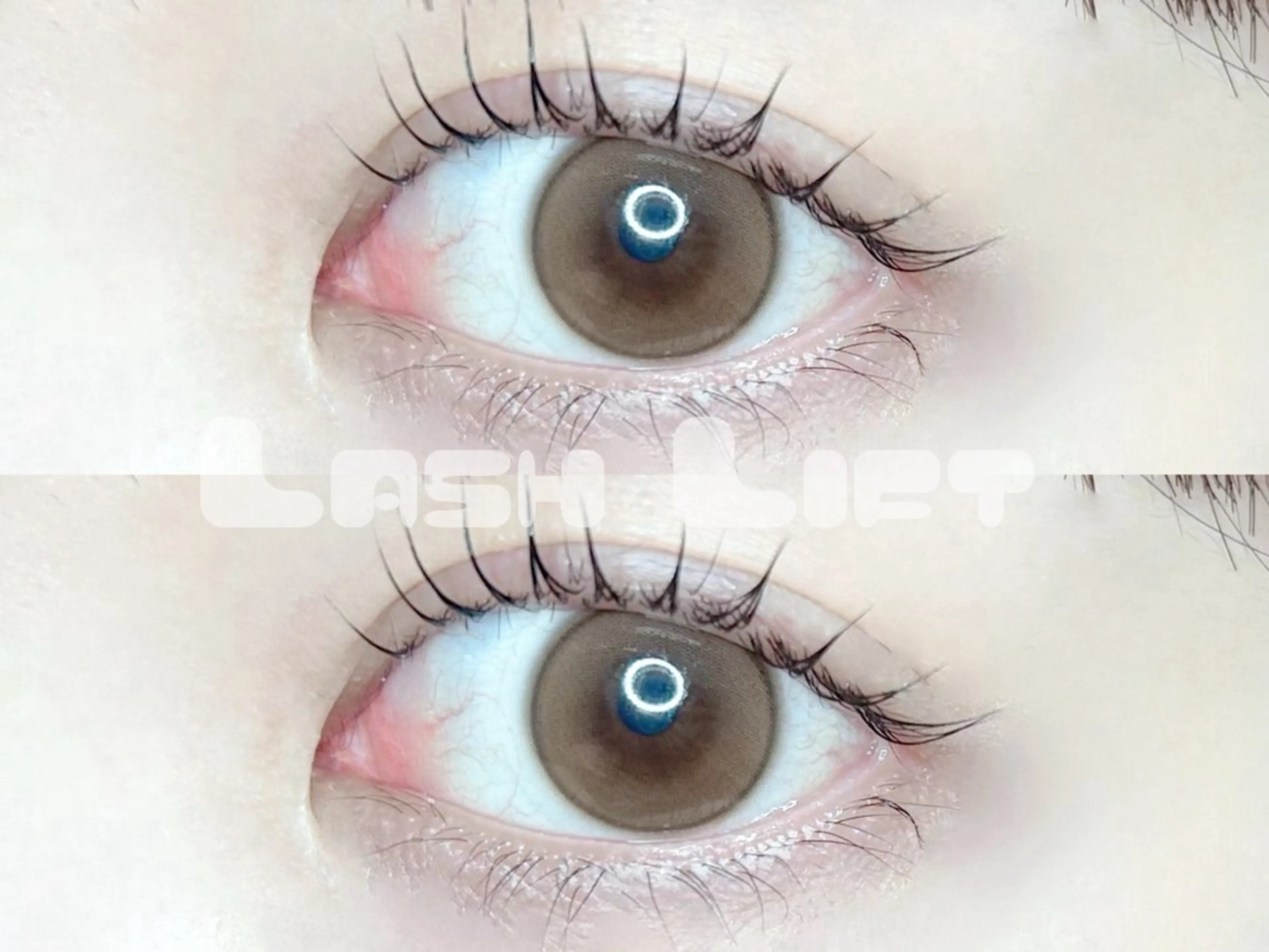 【ミニモ学割】‎🤍ナチュラル‎🤍Lash Lift上✖コーティングの写真