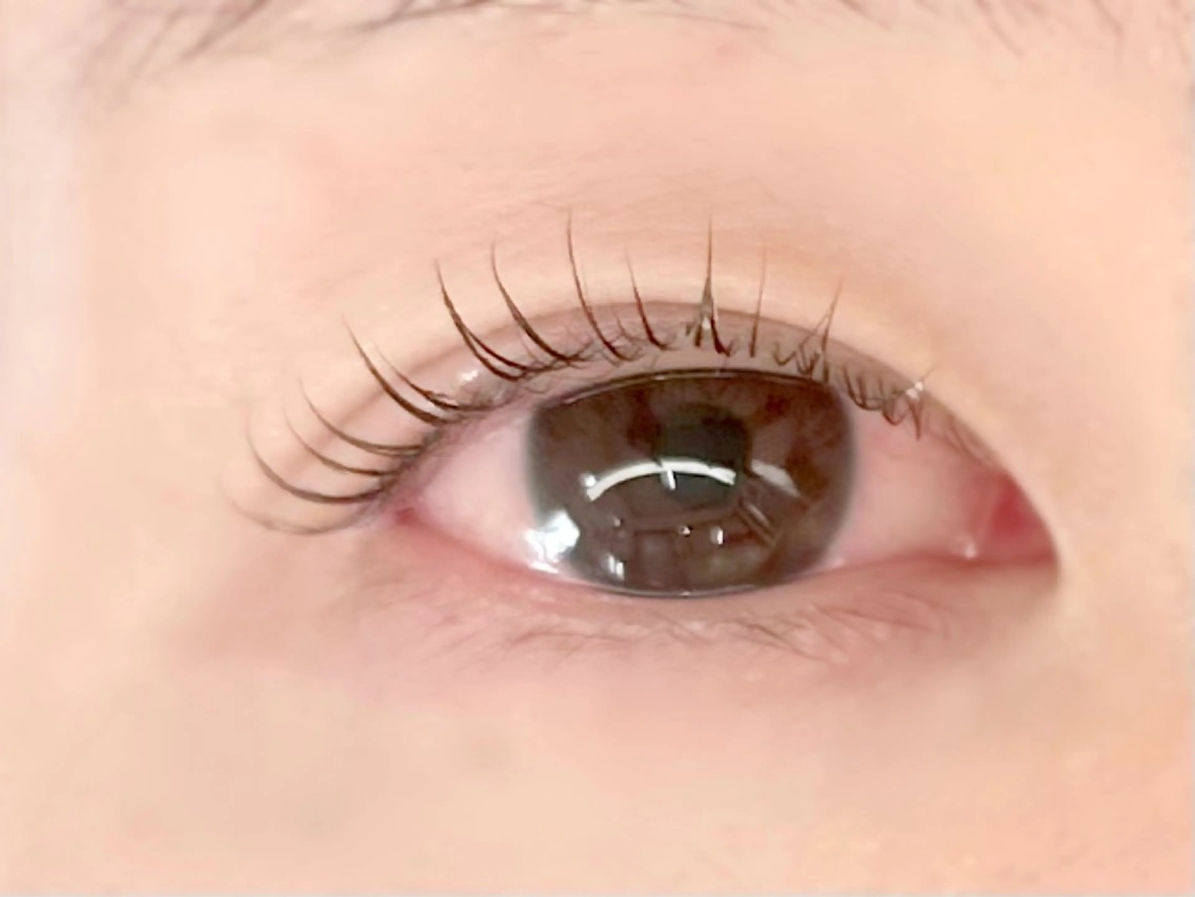 マツエク・マツパ マツパ 【felice】 Takahashiのマツエク・マツパデザイン