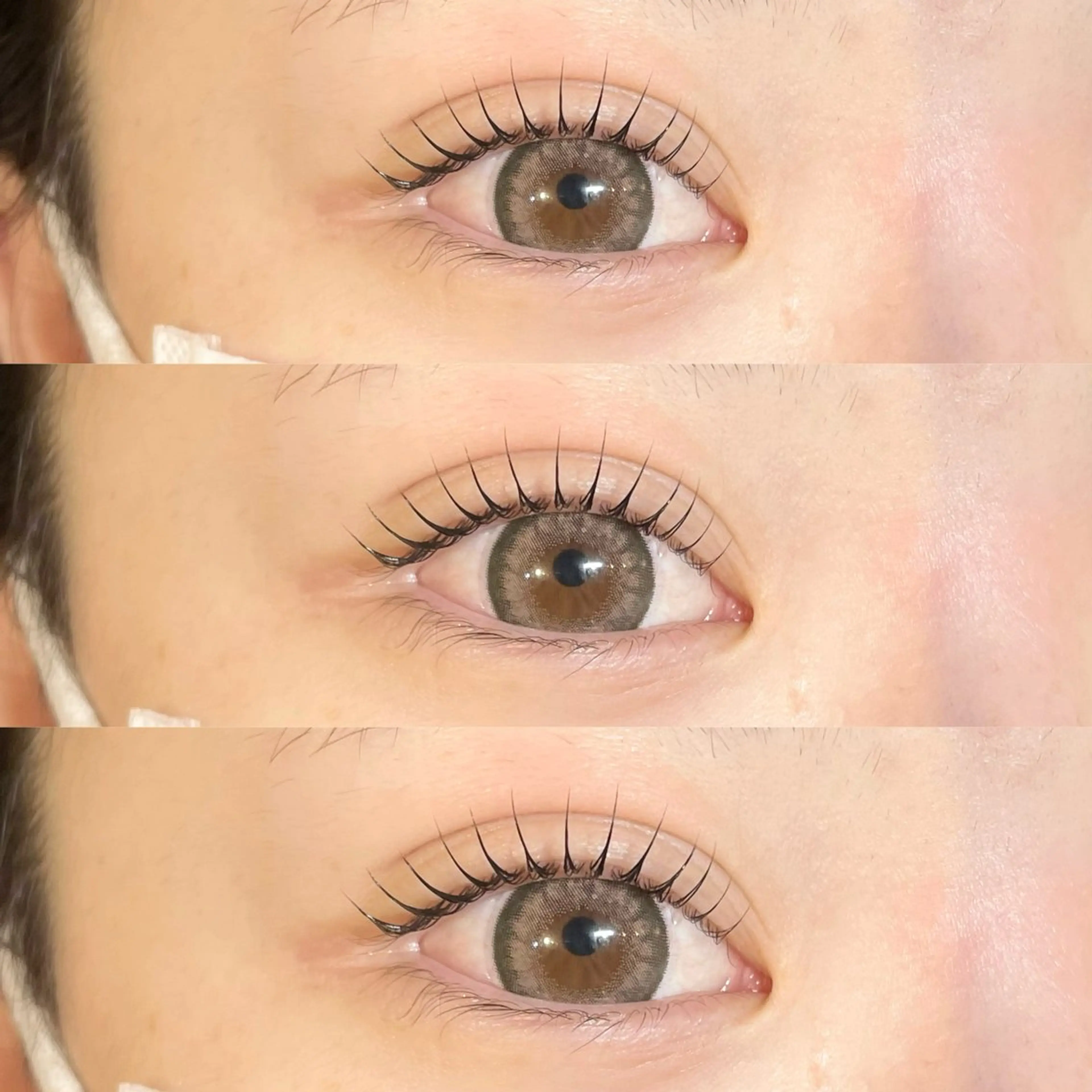 【当日限定⸜❤︎⸝‍】✨似合わせラッシュリフト✨/6,500円⇒4300の写真