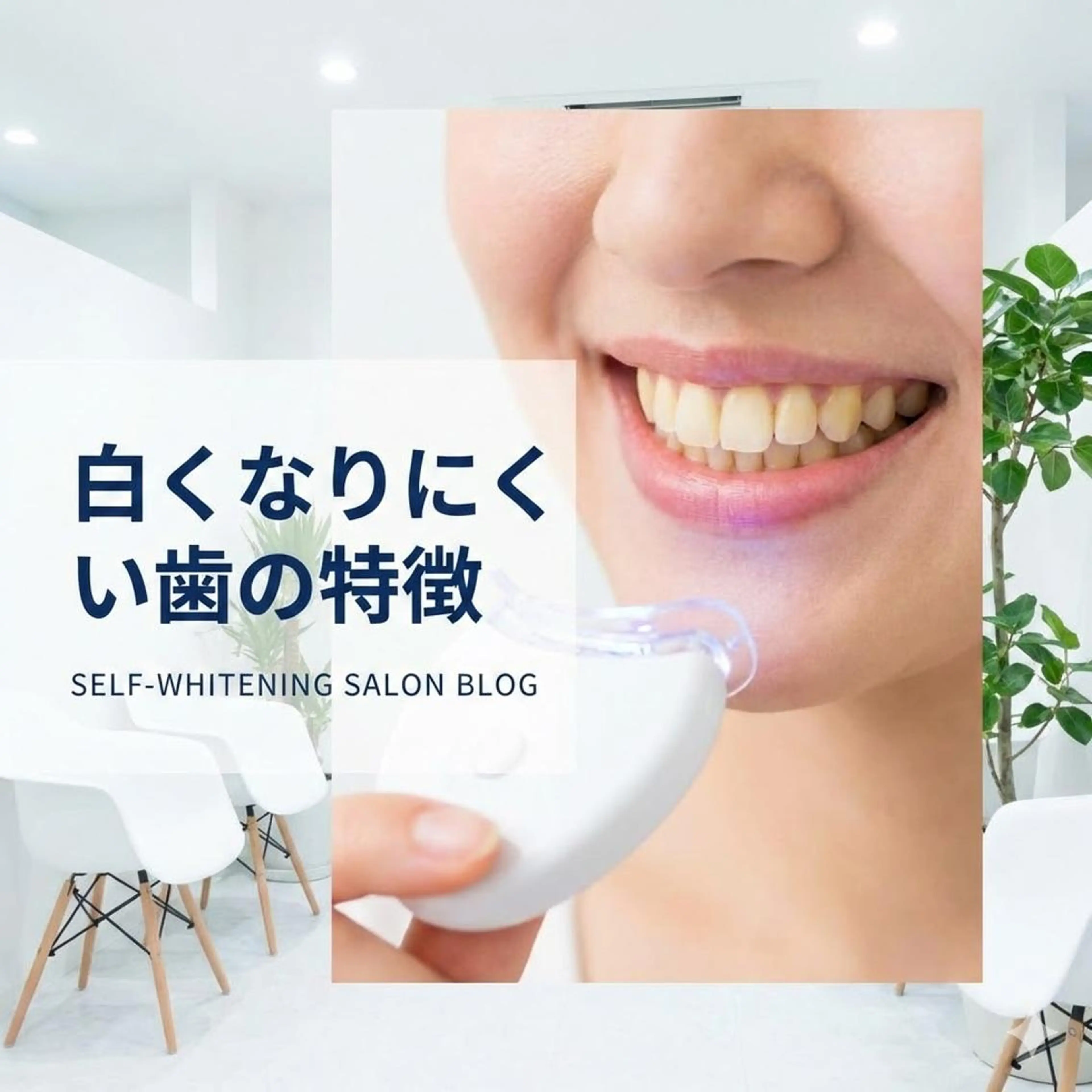 パーマ ミディアム ホワイトニングサロン nico西葛西店のその他イメージ