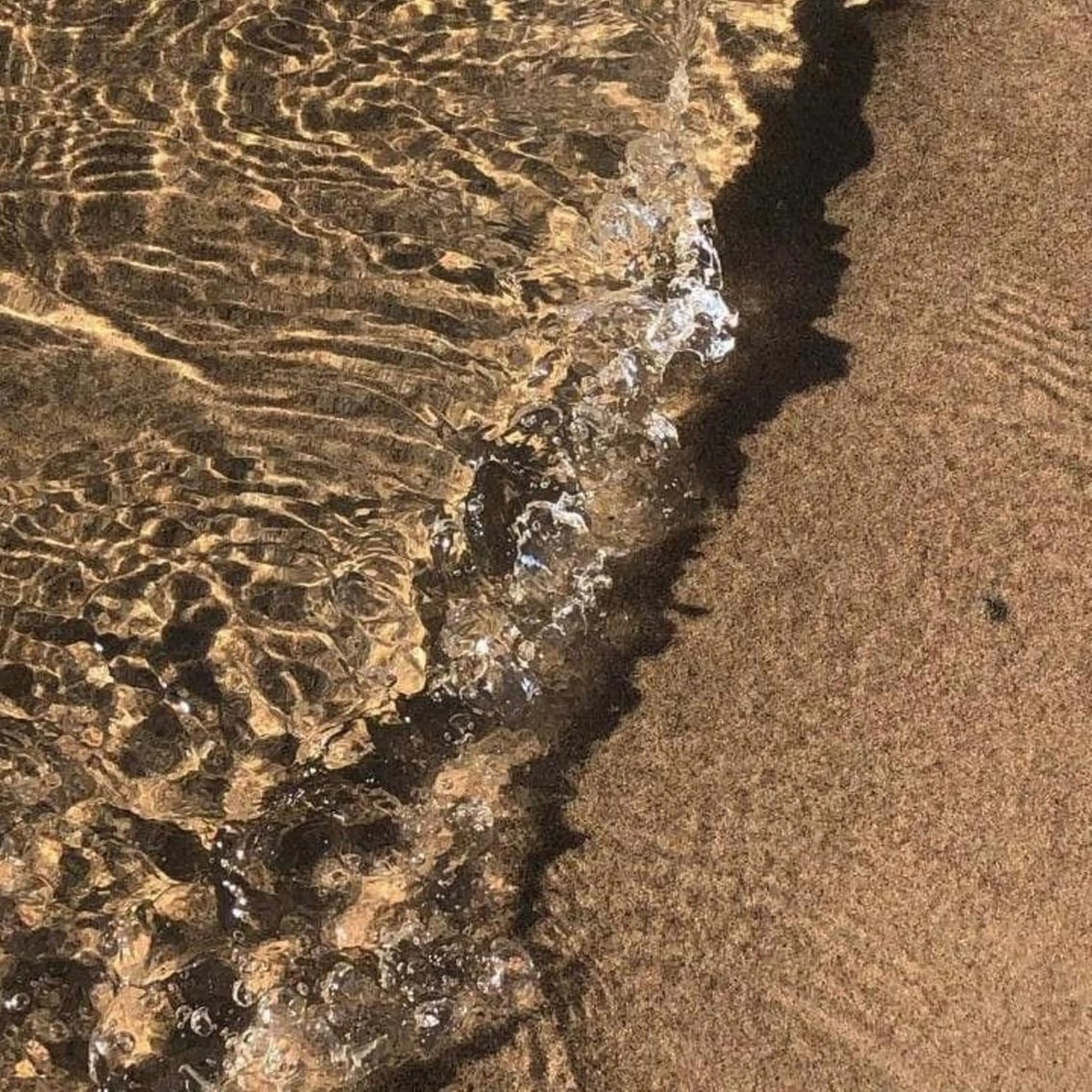 IwAsh  大和駅店所属・shiho .のヘアスタイル