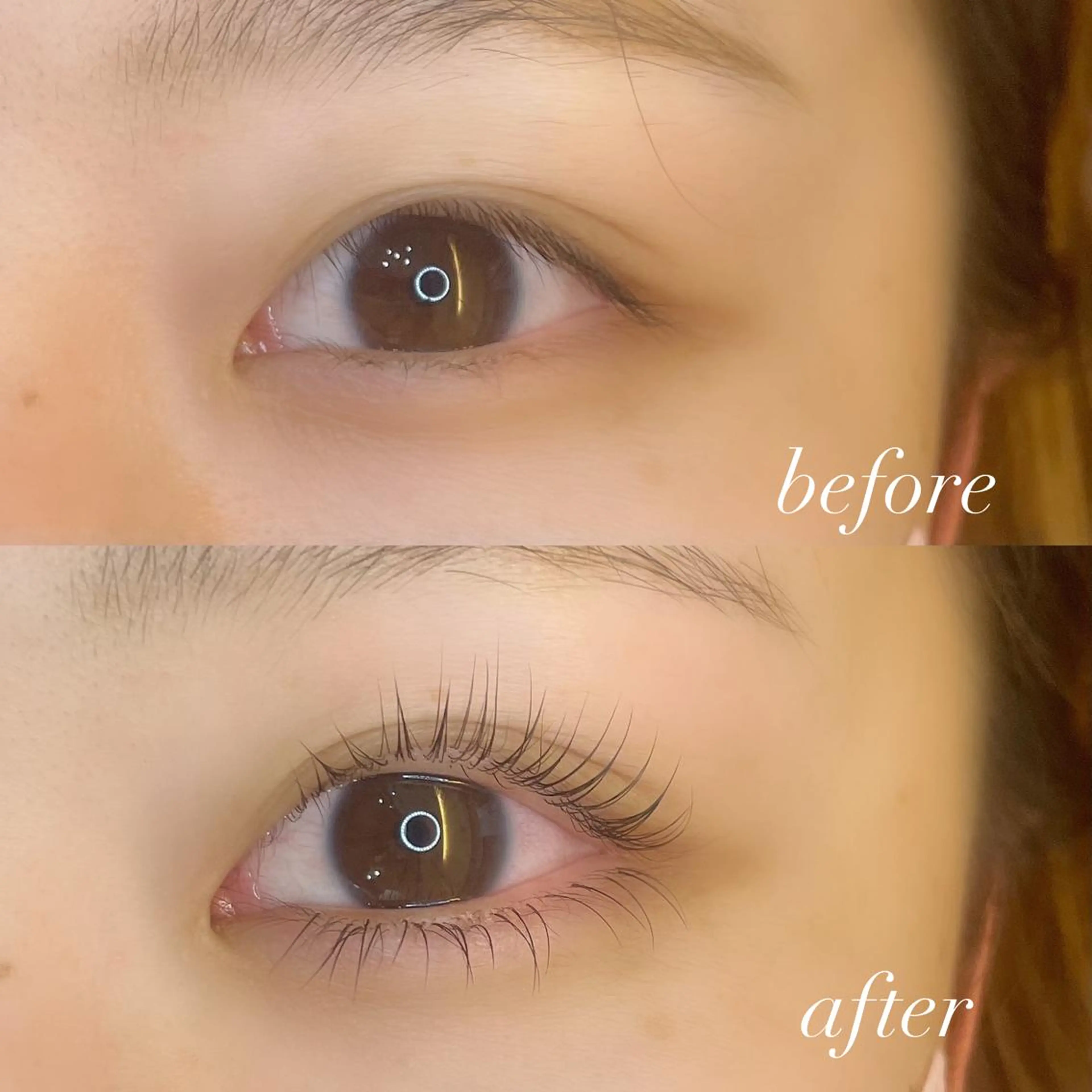 ⭐️セットでお得クーポン⭐️ラッシュリフト✖️下まつげ40本(フラットセーブル)の写真